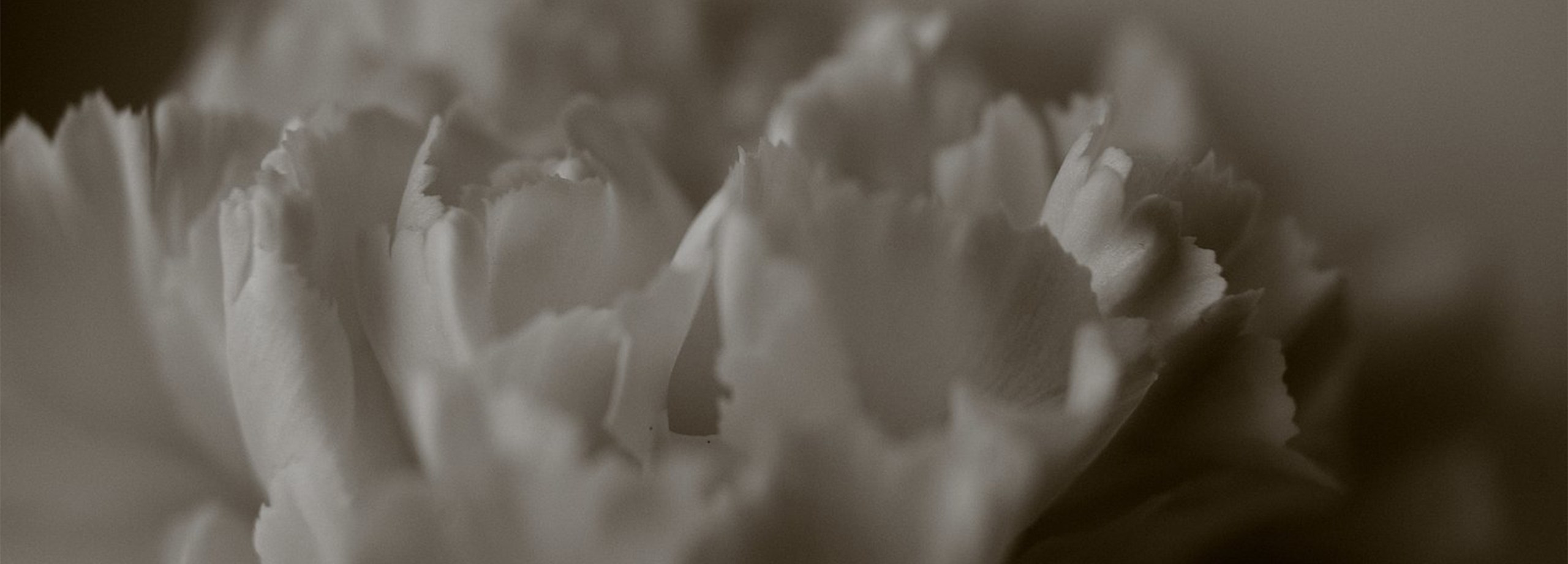 Фотограф для людей и брендов в Санкт-Петербурге