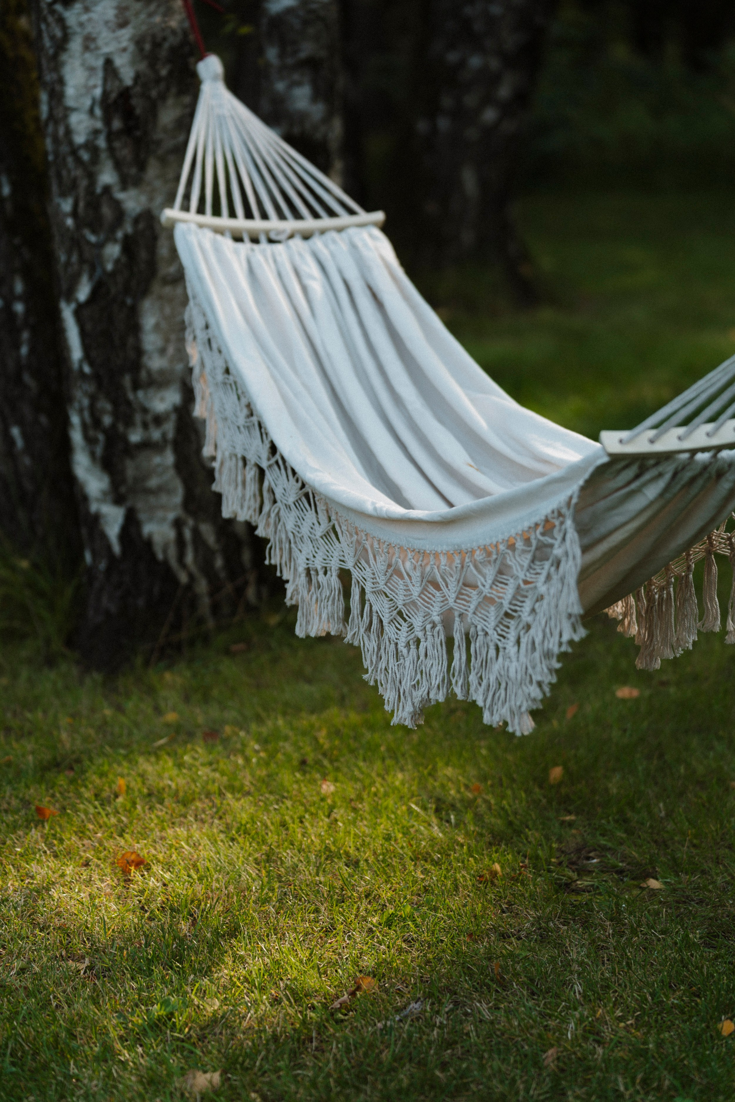 HUNTING SEASON/ LIGASTAVOK. Фотограф первого впечатления