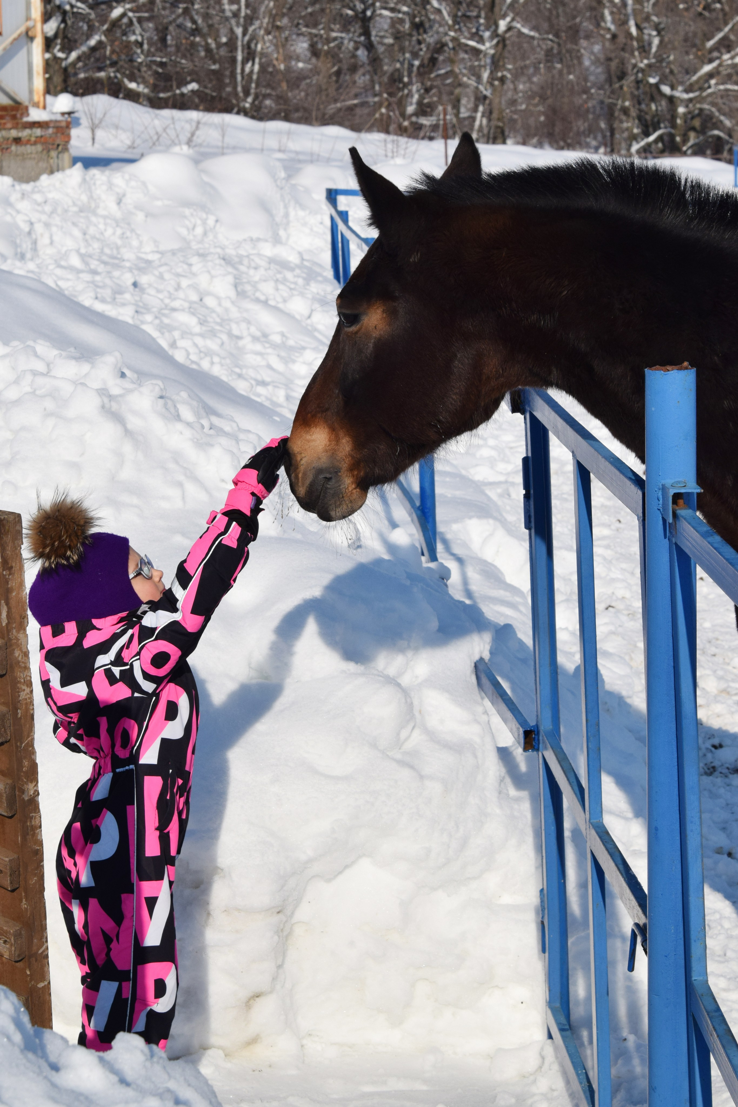 Конная прогулка. Конный фотограф в Саратове Юлия Иванова