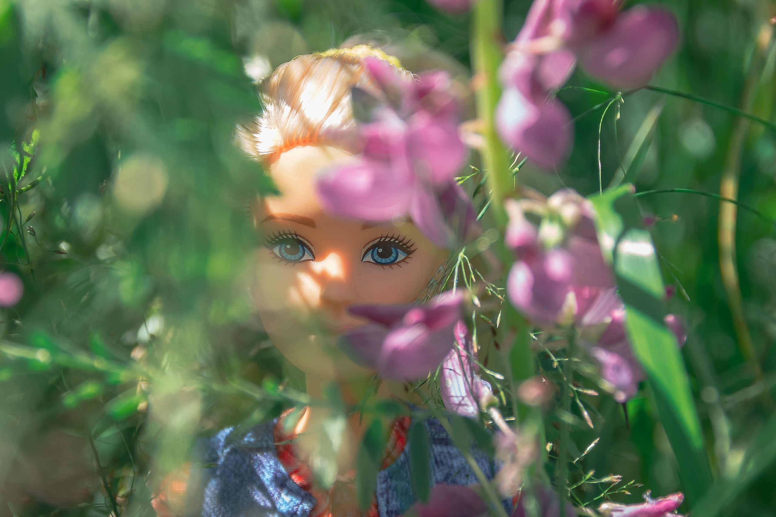 Наша жизнь — Игра. Аmat Victoria Сuram