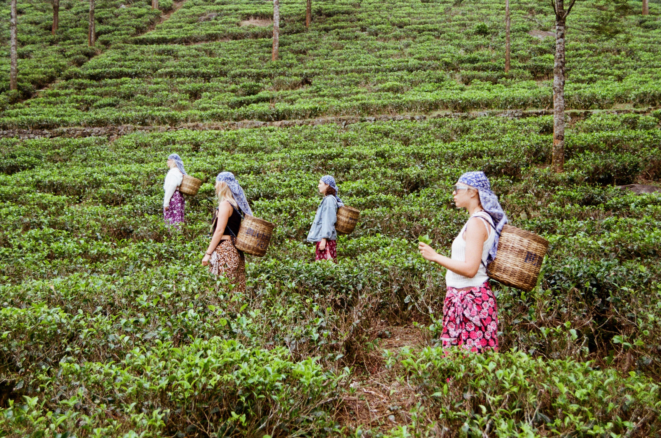 Пленка. Главная