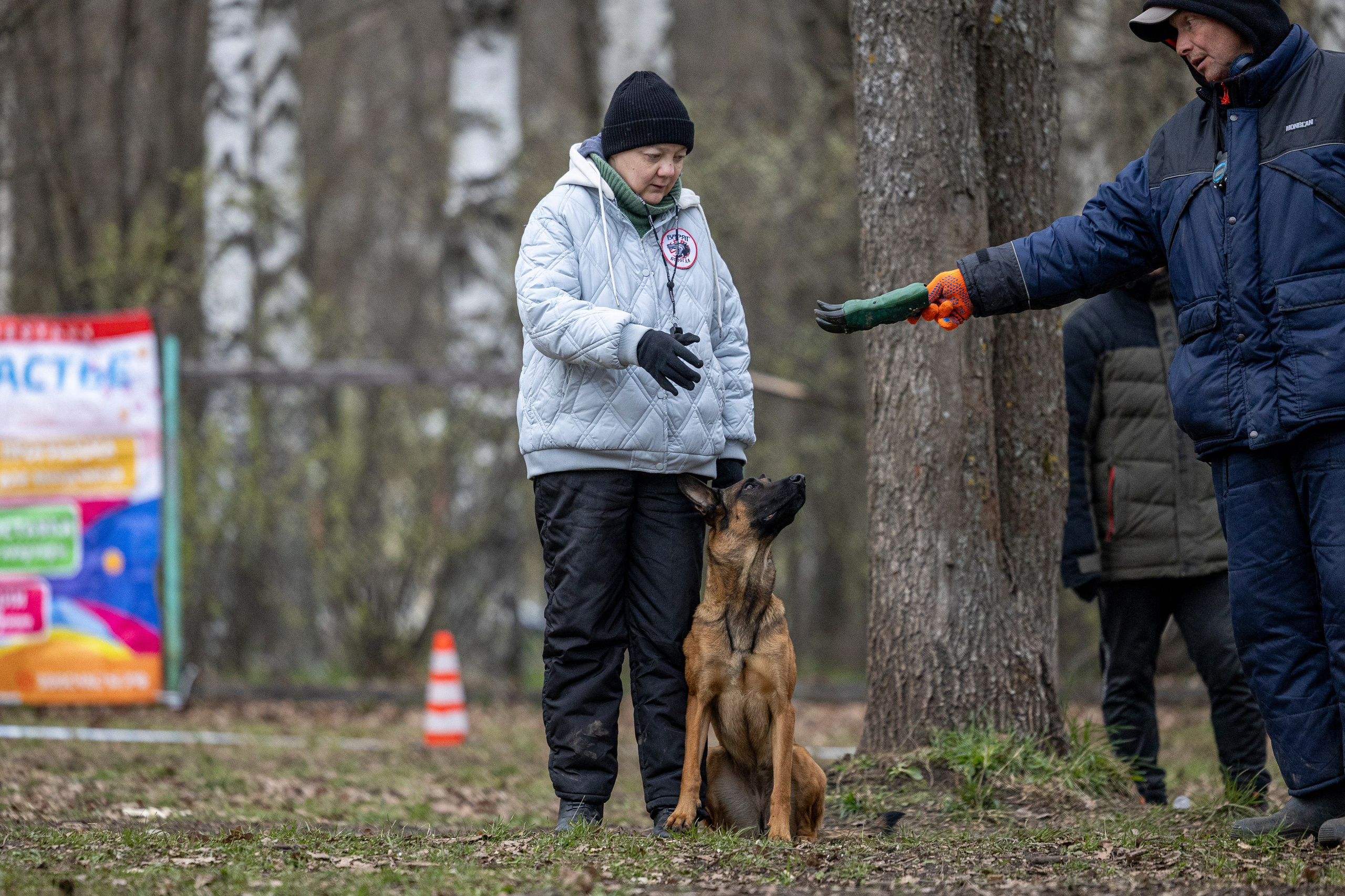 Квалификационные состязания по мондьорингу г. Вологда 11.05.24. Фотограф-анималист Анна Маринич