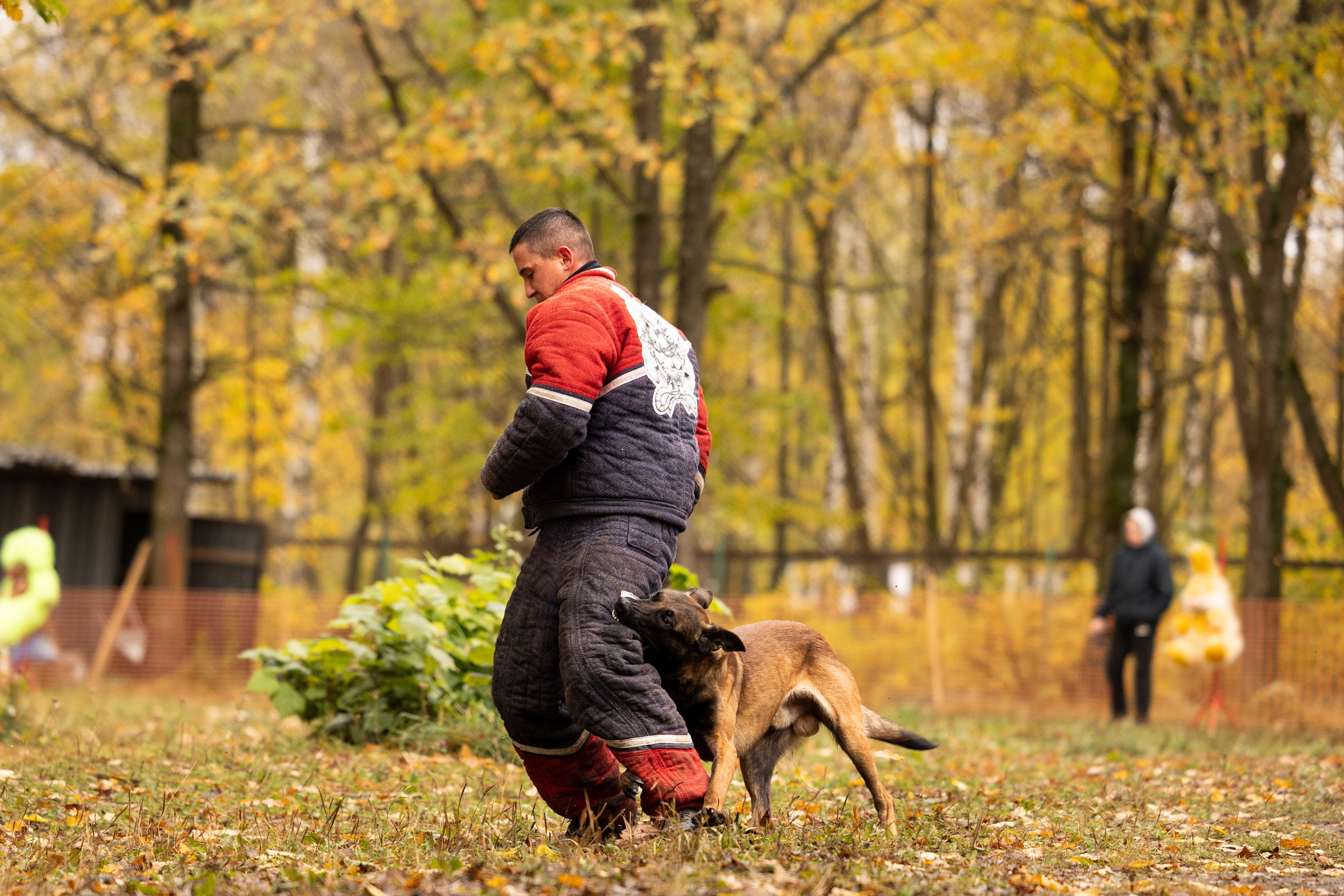 Соревнования по Мондьорингу г. Вологда. Фотограф-анималист Анна Маринич