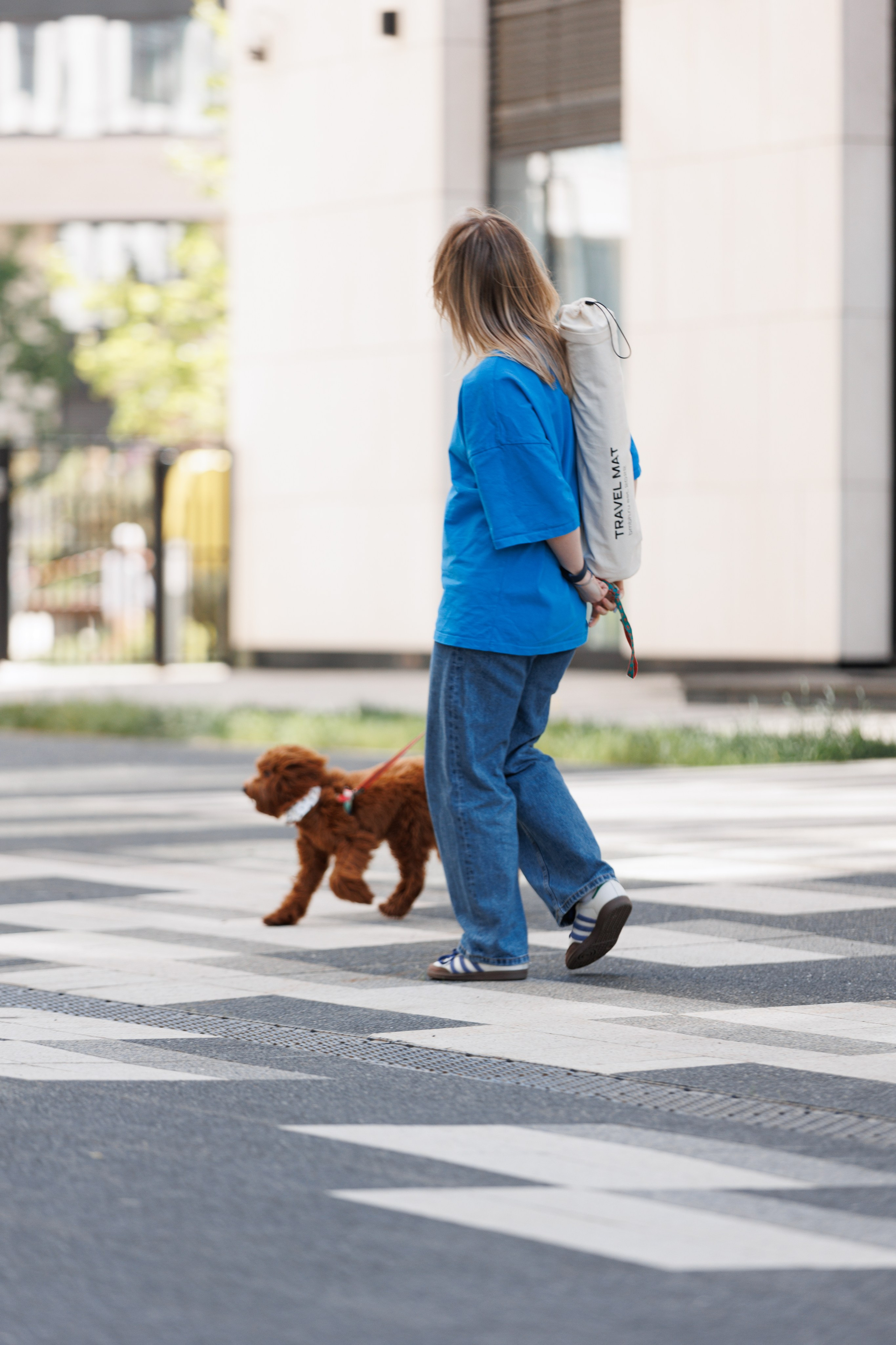 Bmbh городская. Фотограф анималист Кристина Карпова, Москва