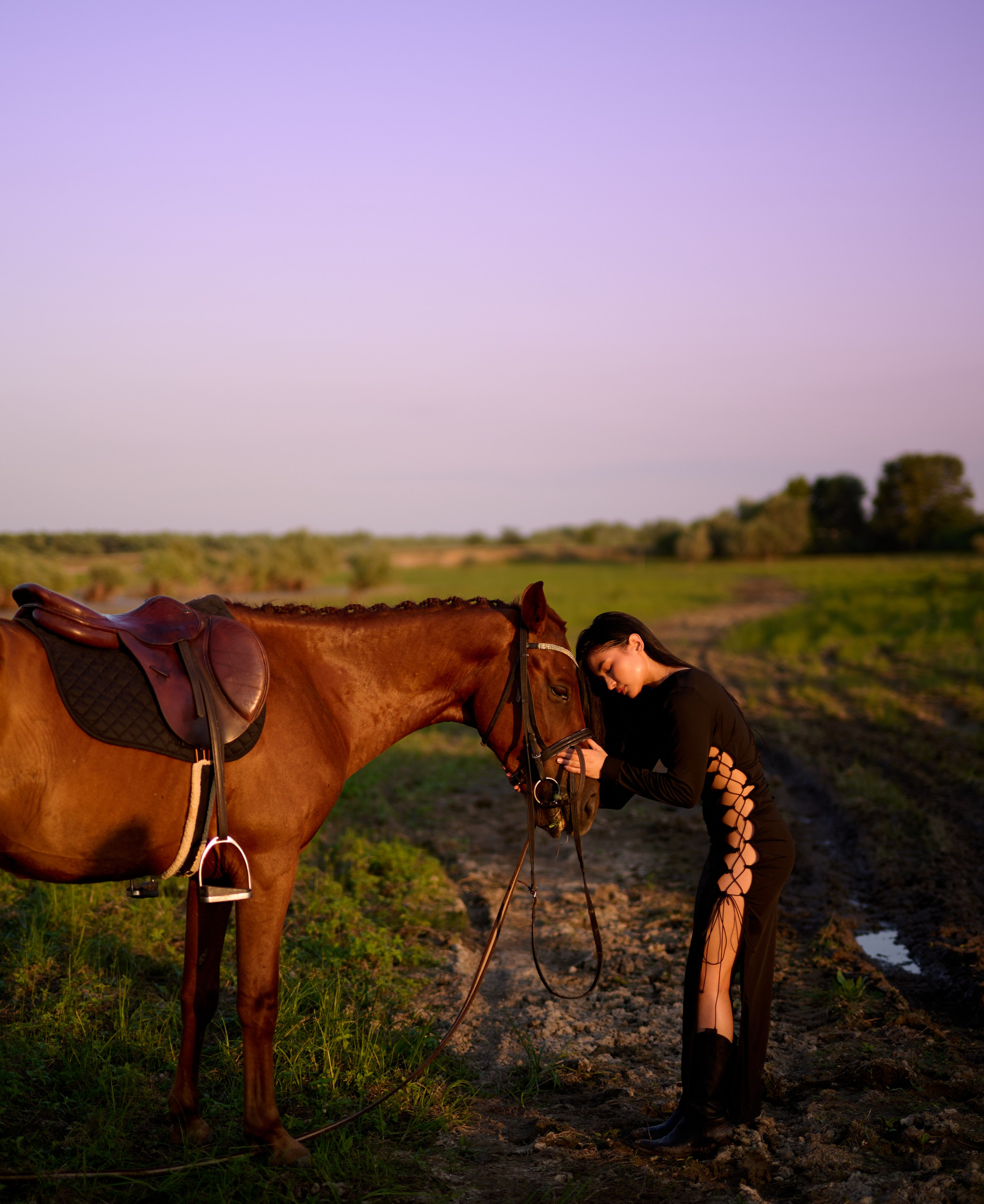 Выездная Лошади. Фотограф в Краснодаре и Динской Виктория Вебер