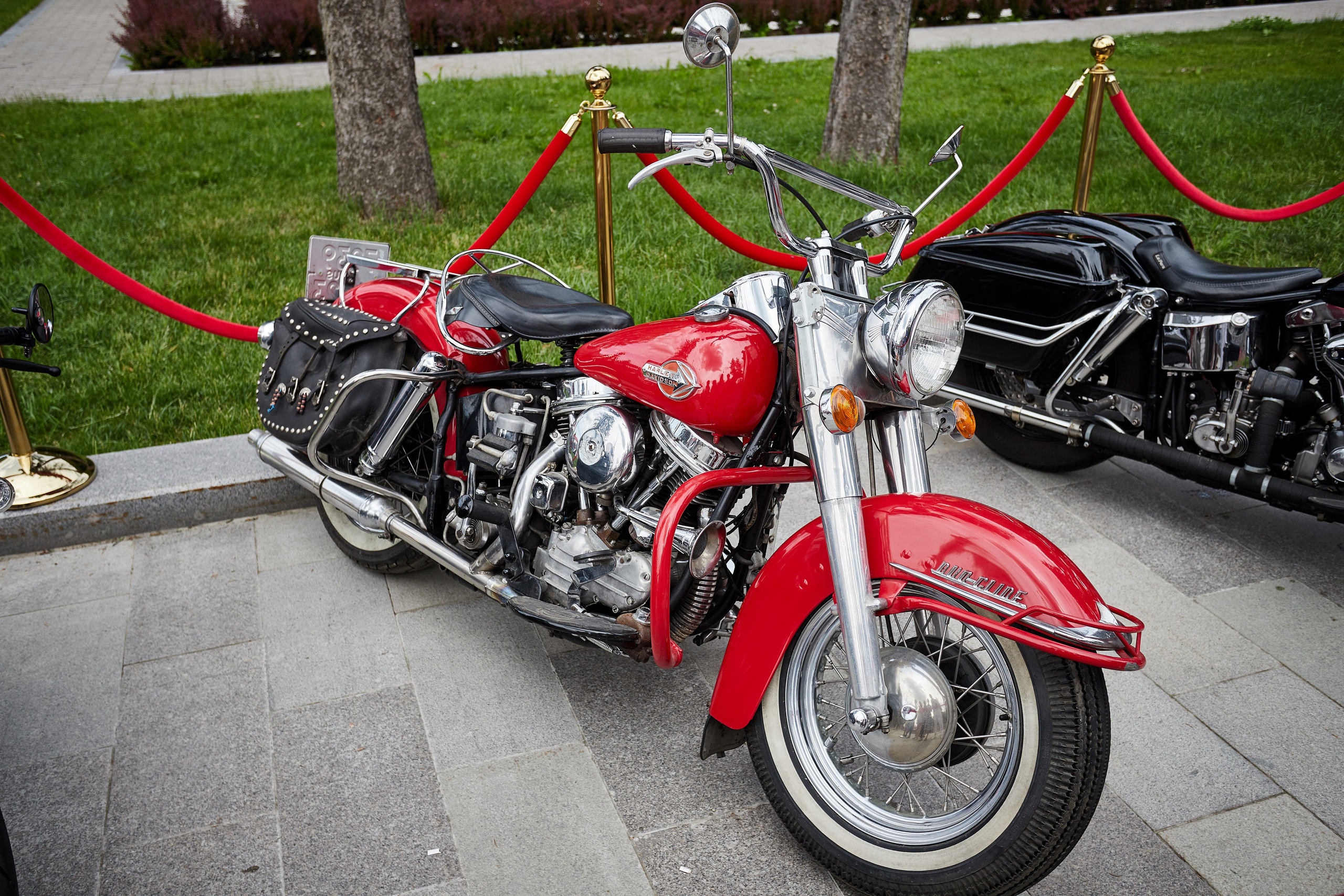 День Мотоциклиста 2024. Репортажный Фотограф