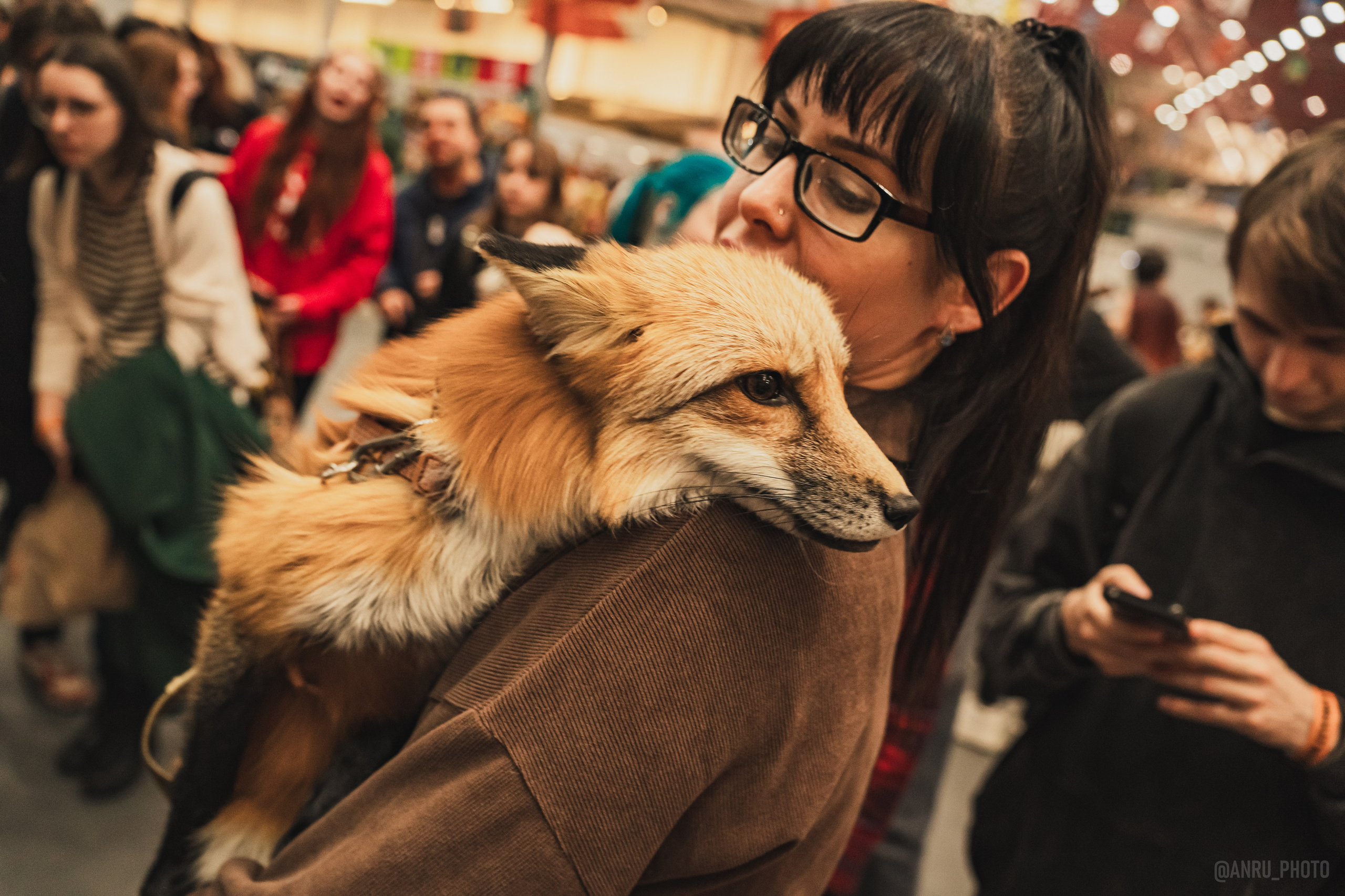 Fox Family fest. Репортажный фотограф Анастасия Рубцова