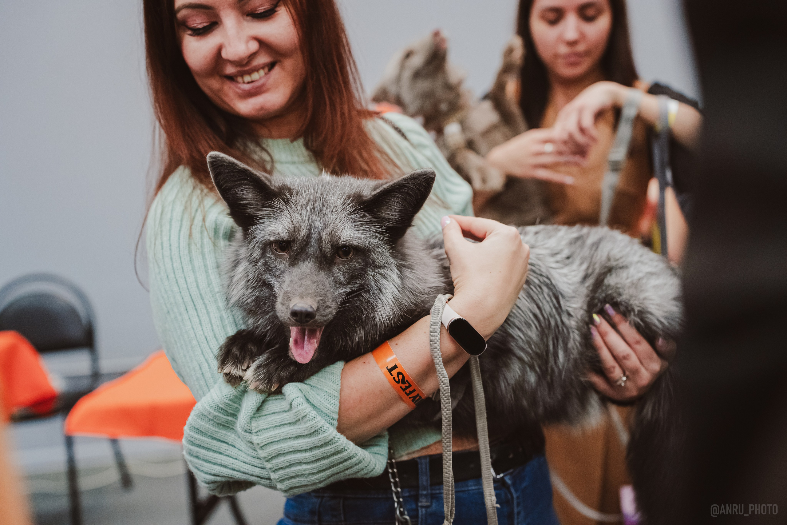 Fox Family fest. Репортажный фотограф Анастасия Рубцова