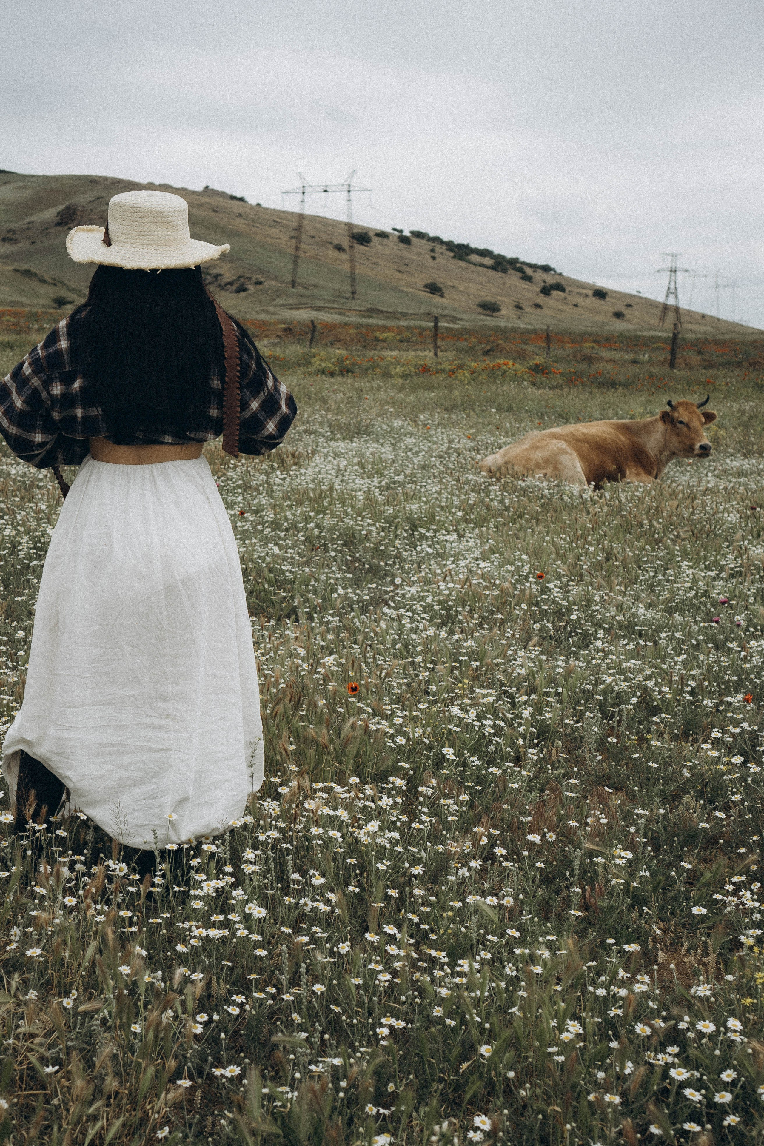 Маковое поле. Профессиональный фотограф, Санкт-Петербург — Виктория Богомолова