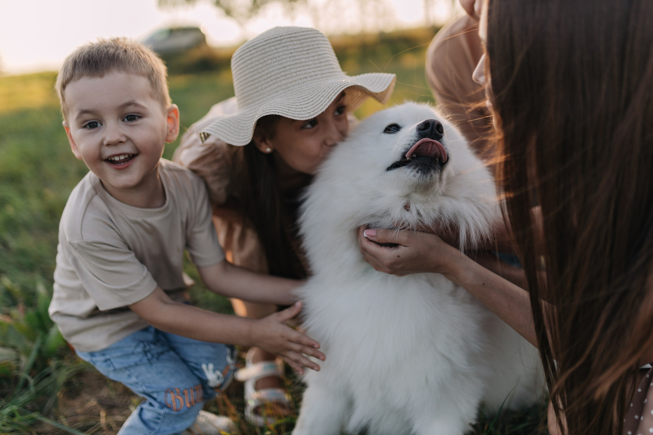 Летний вечер в поле. Семейный фотограф Альбина Крутелева, Екатеринбург, Ревда