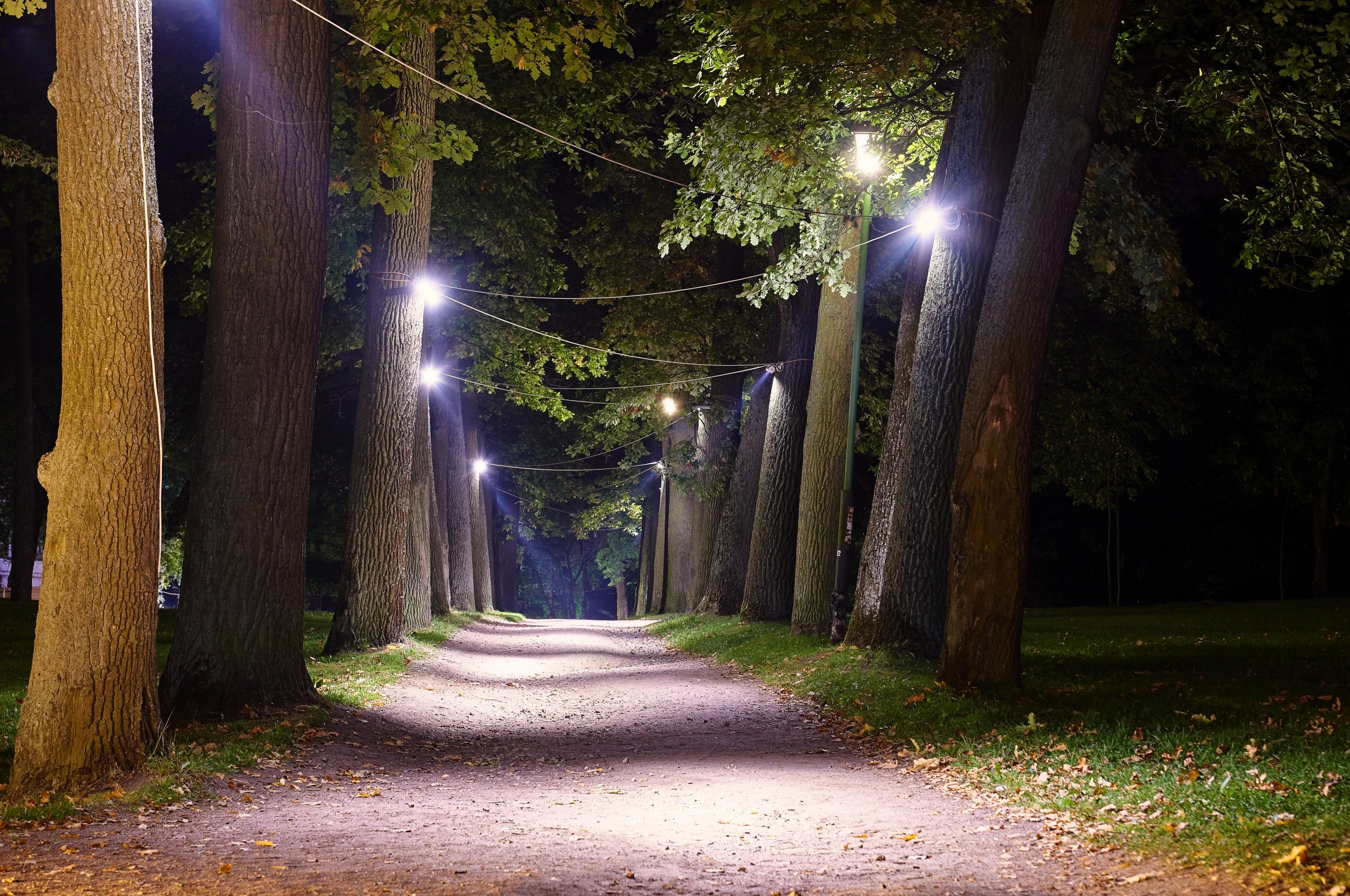 Фестиваль Ночь Света 2019 год. Иван Ступа, репортажный фотограф в Санкт-Петербурге и Ленинградской области