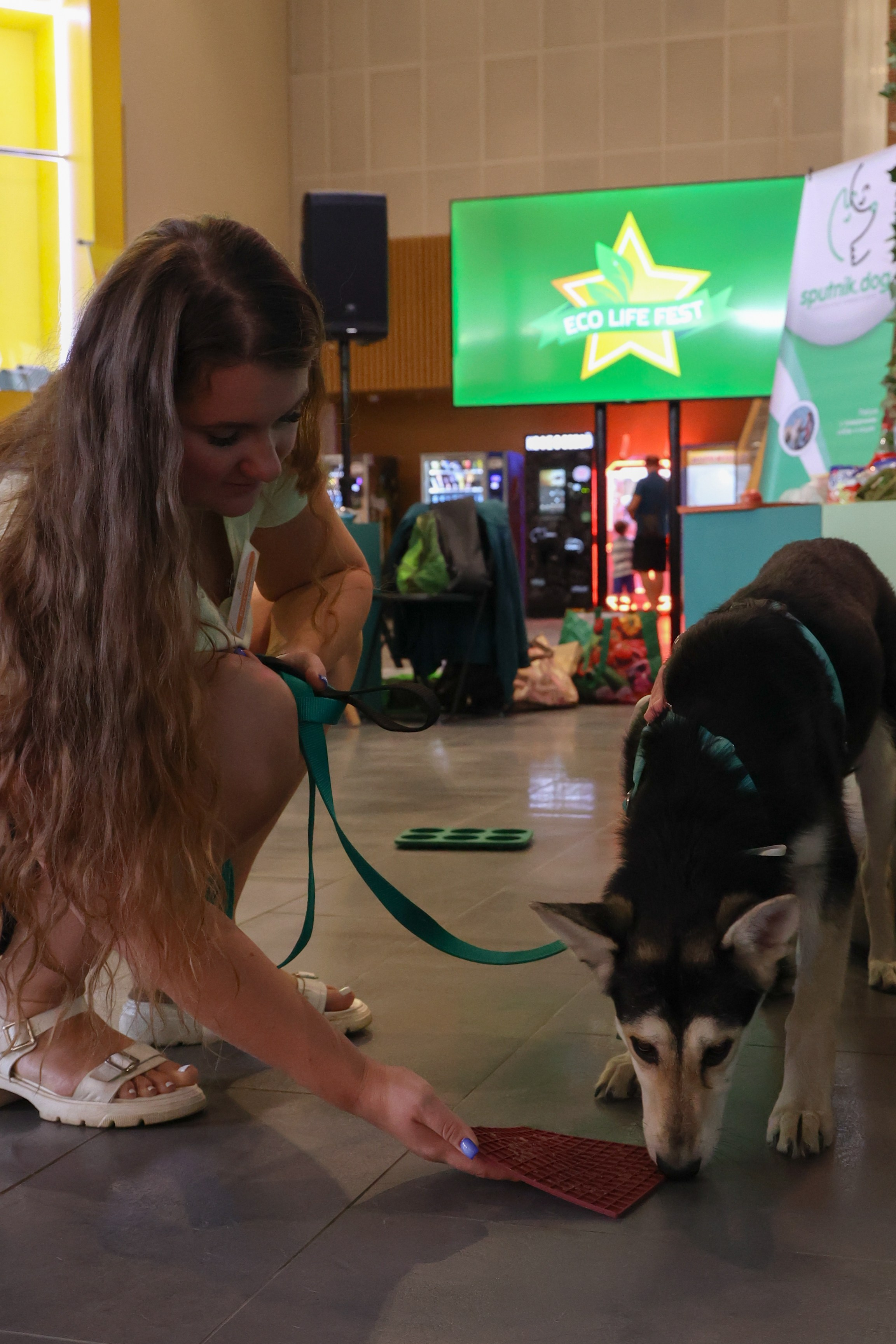 ECO FEST. Фотограф Вадим Бодылев