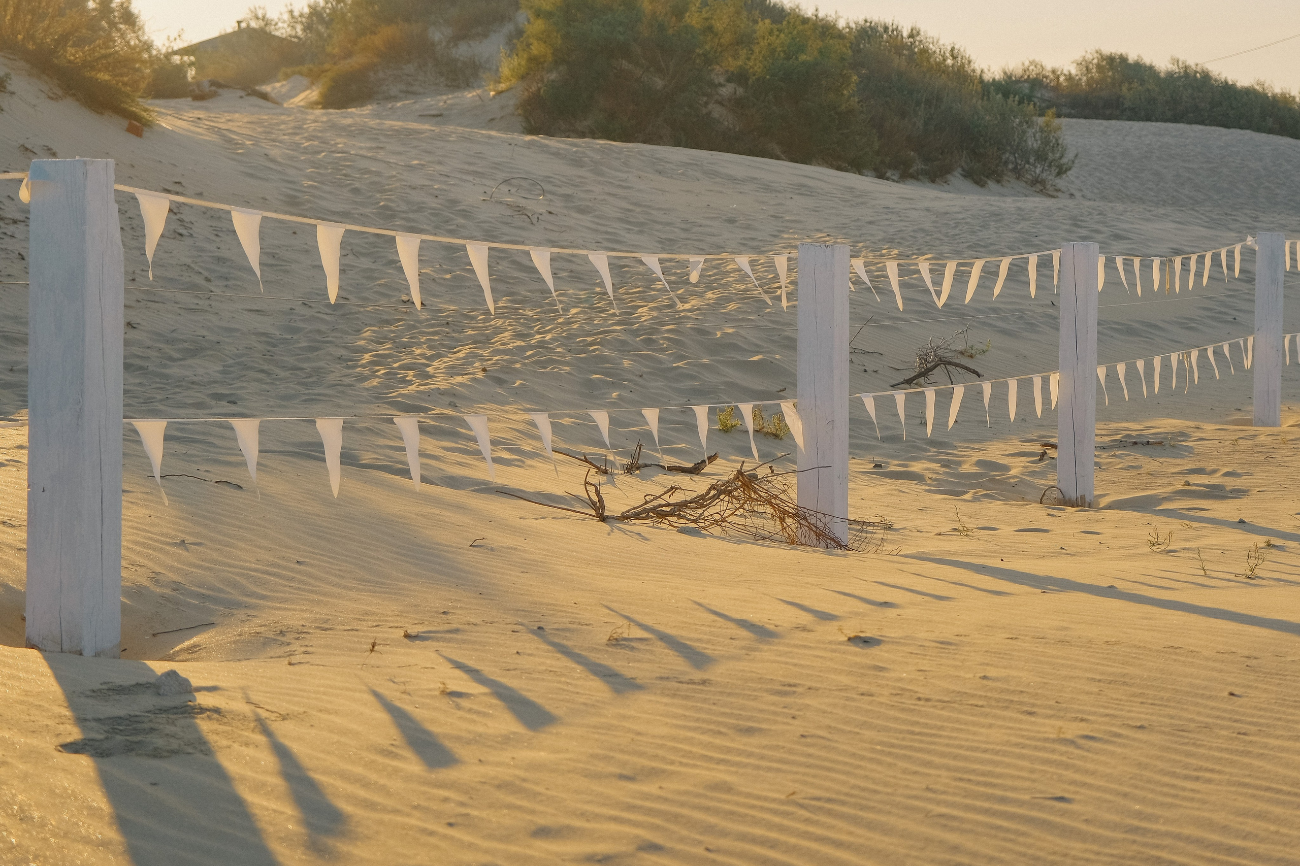 База отдыха Дюны золотые. Photographer and videographer for wedding in Italy: Rome, Milan, Venic