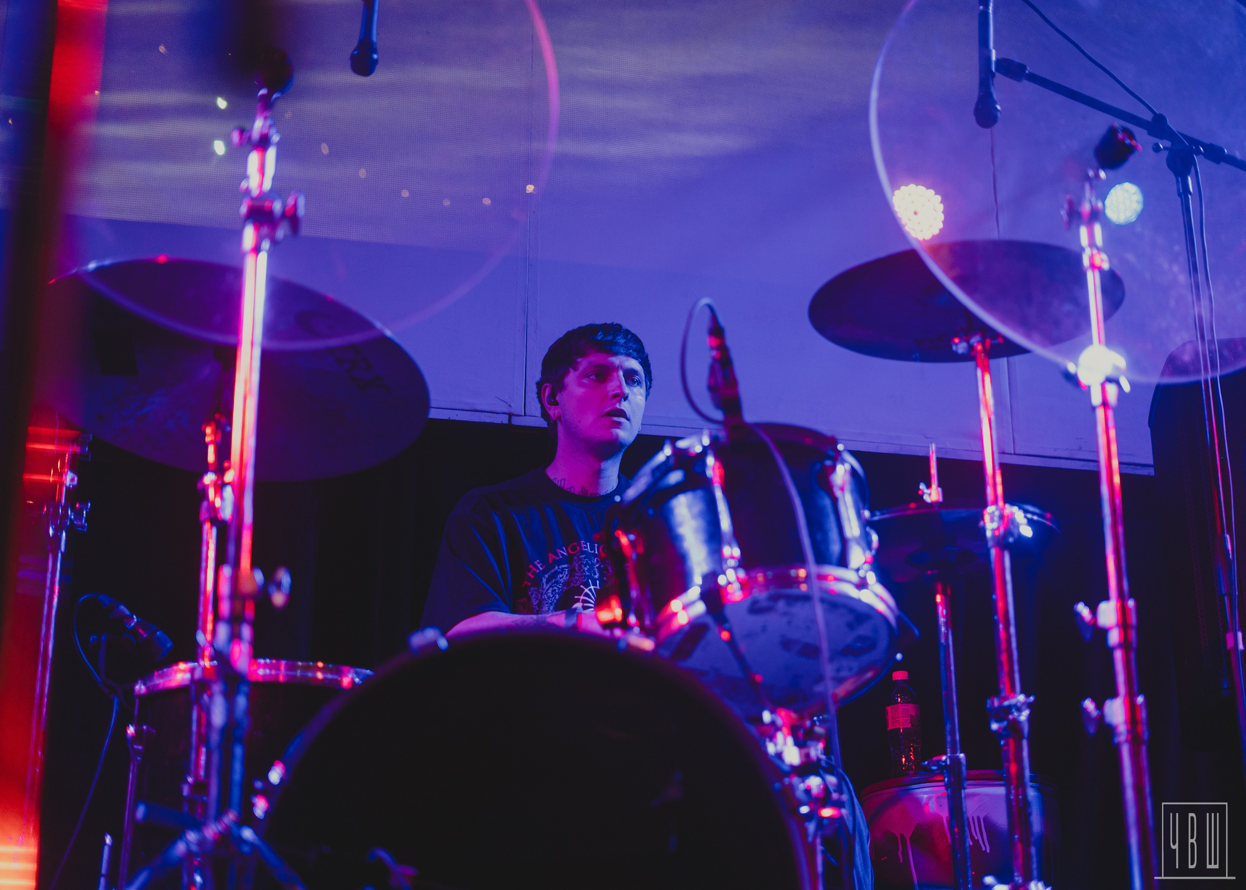 ШардаМ, 04.11.2025, Ласточка. Человек в Шляпе