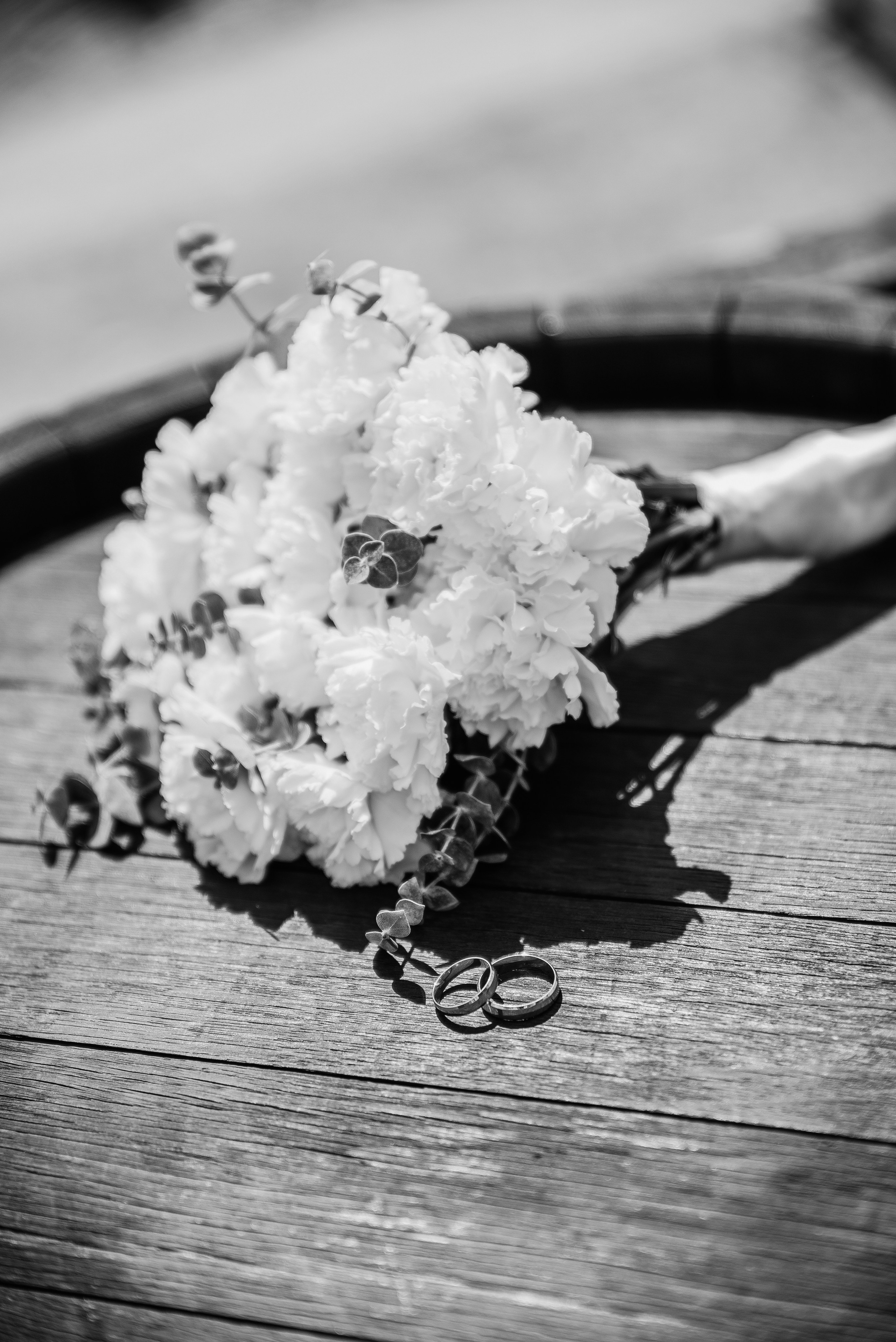 15.08.2025. Фотограф Новороссийск / ЮФО / Москва Руслан Пелин