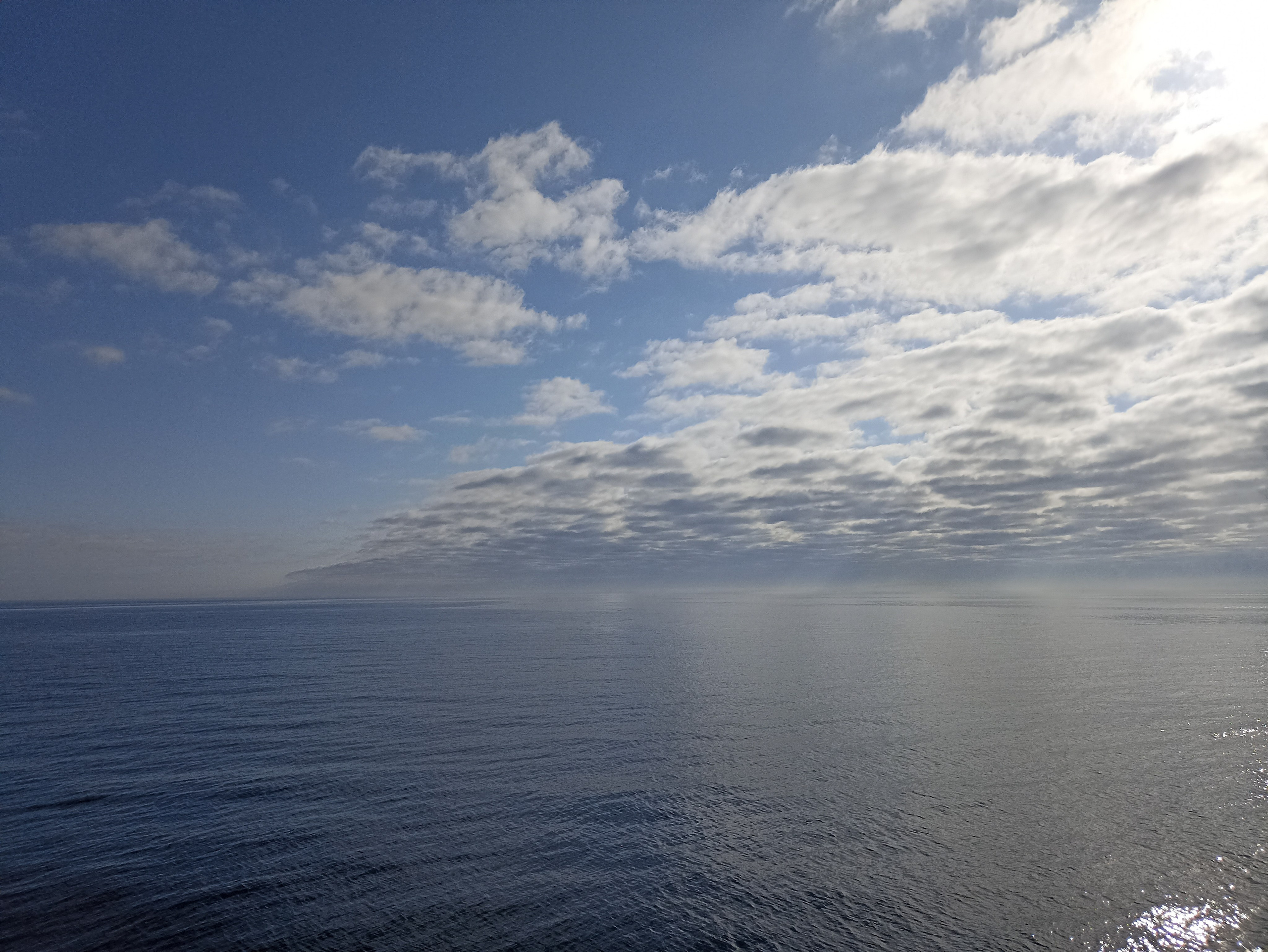 Мобильная фотография. Фотограф г. Владивосток