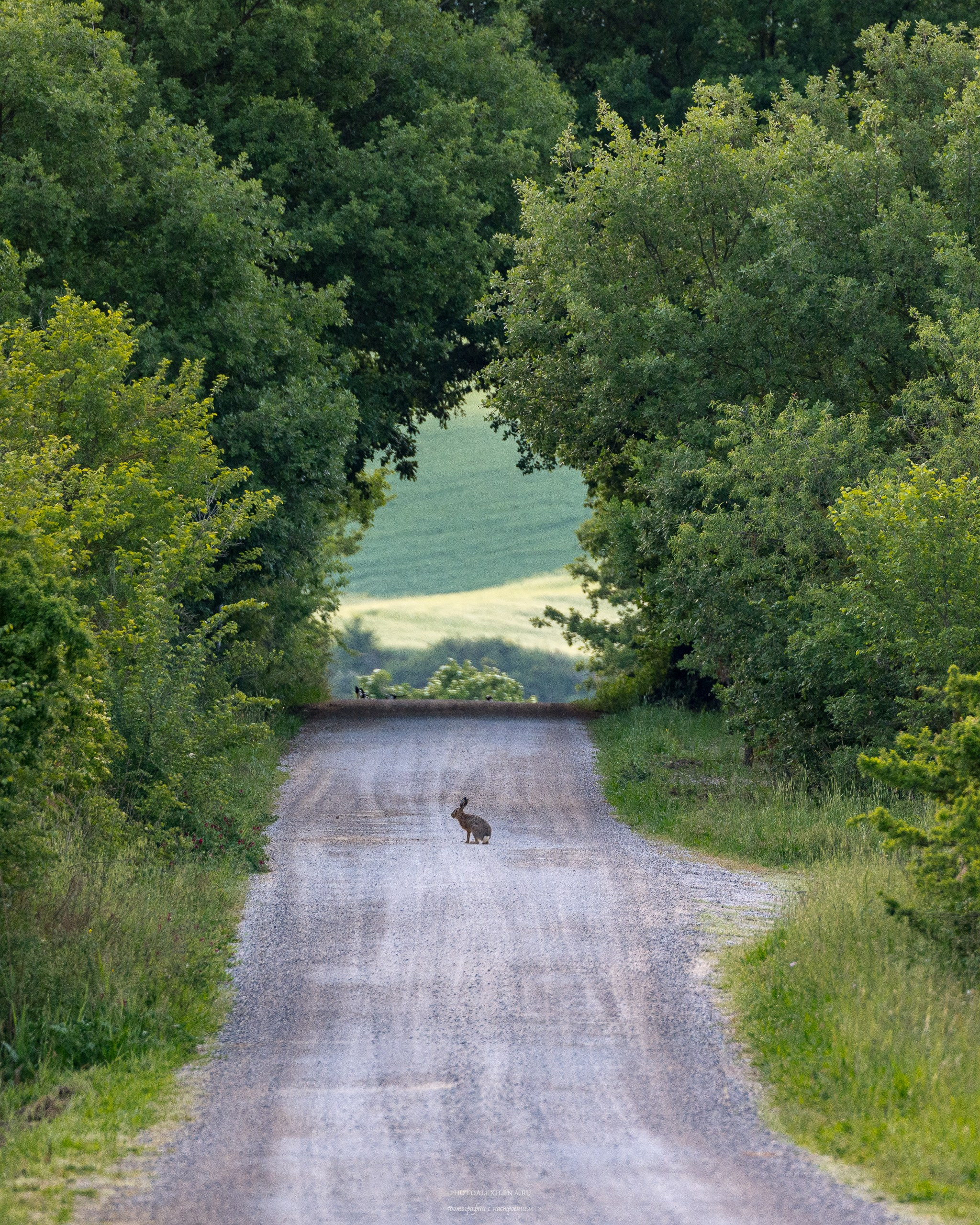 Долина Валь д’Орча-сердце Тосканы. Авторские стильные фотокартины
