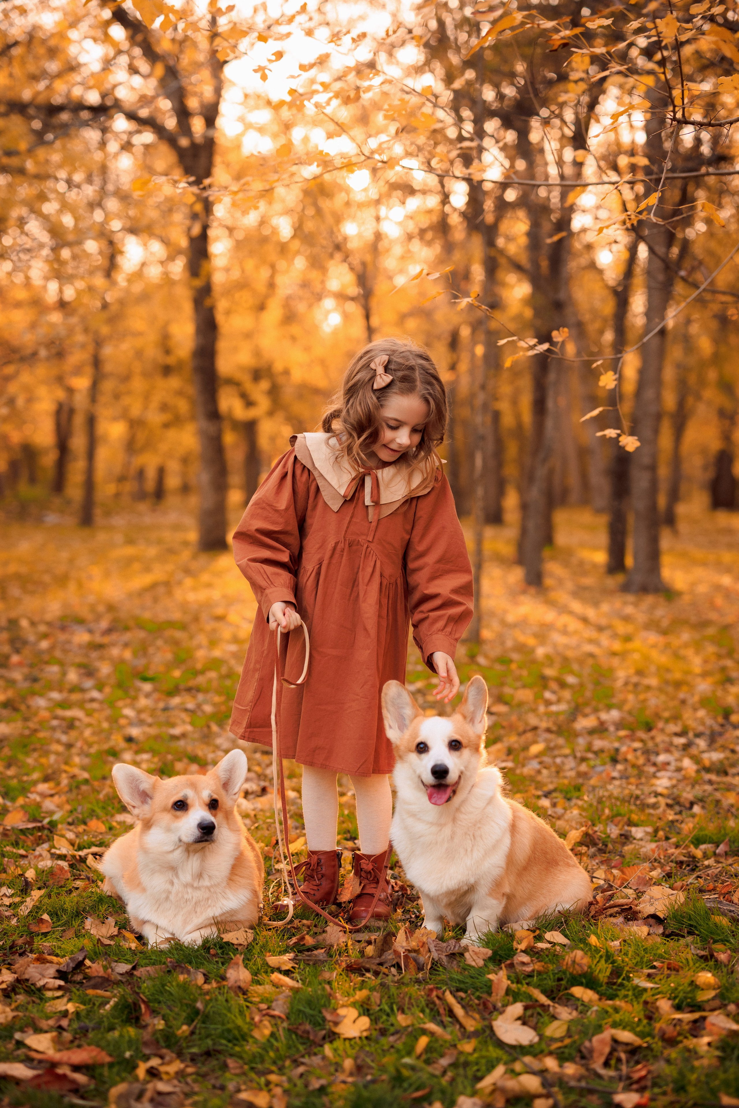 Осенняя семейная фотосессия в парке с Корги. Семейный и детский фотограф в Краснодаре Анна Трашкова