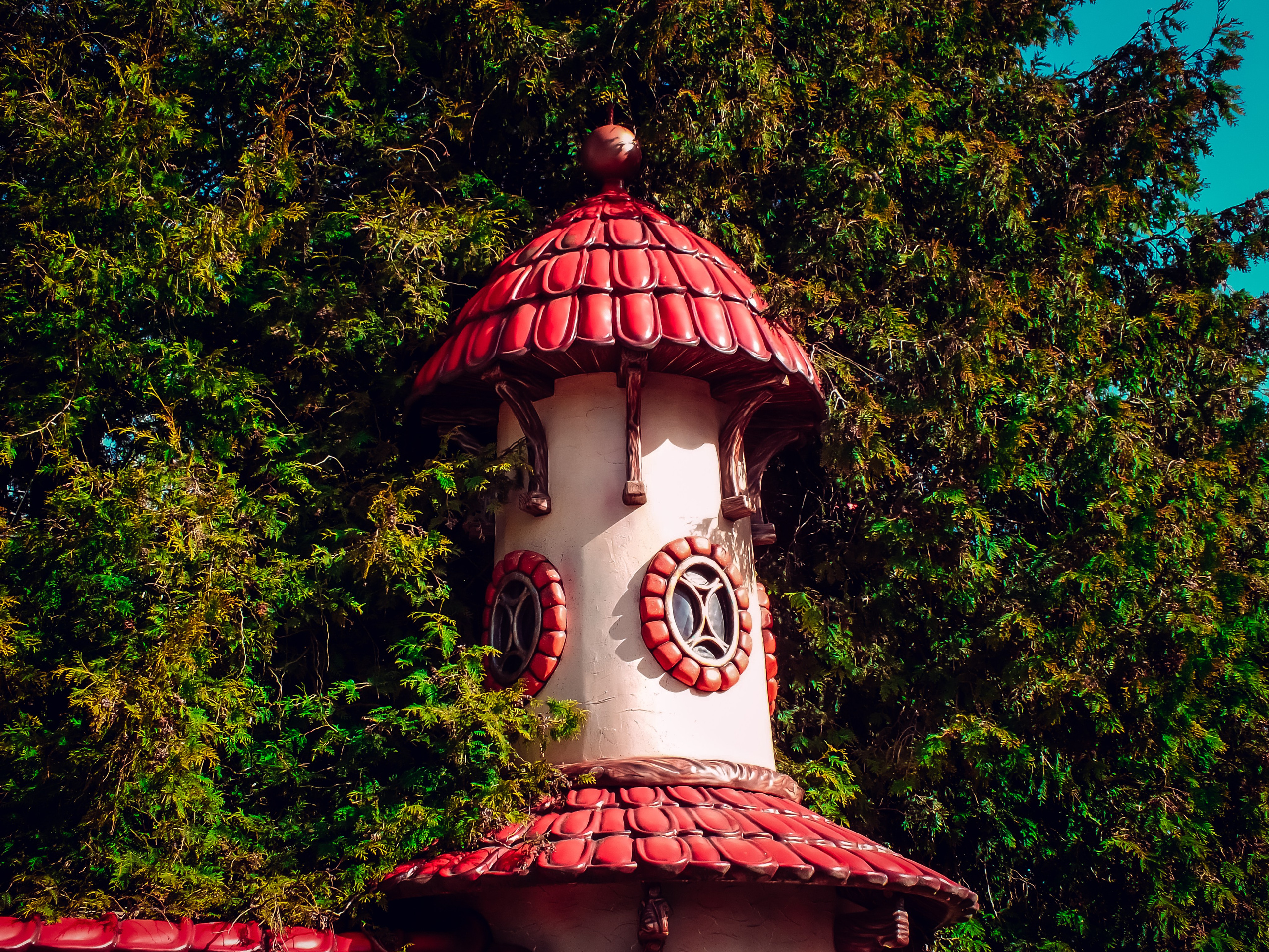 Fuji. Портретный фотограф DanilNabody