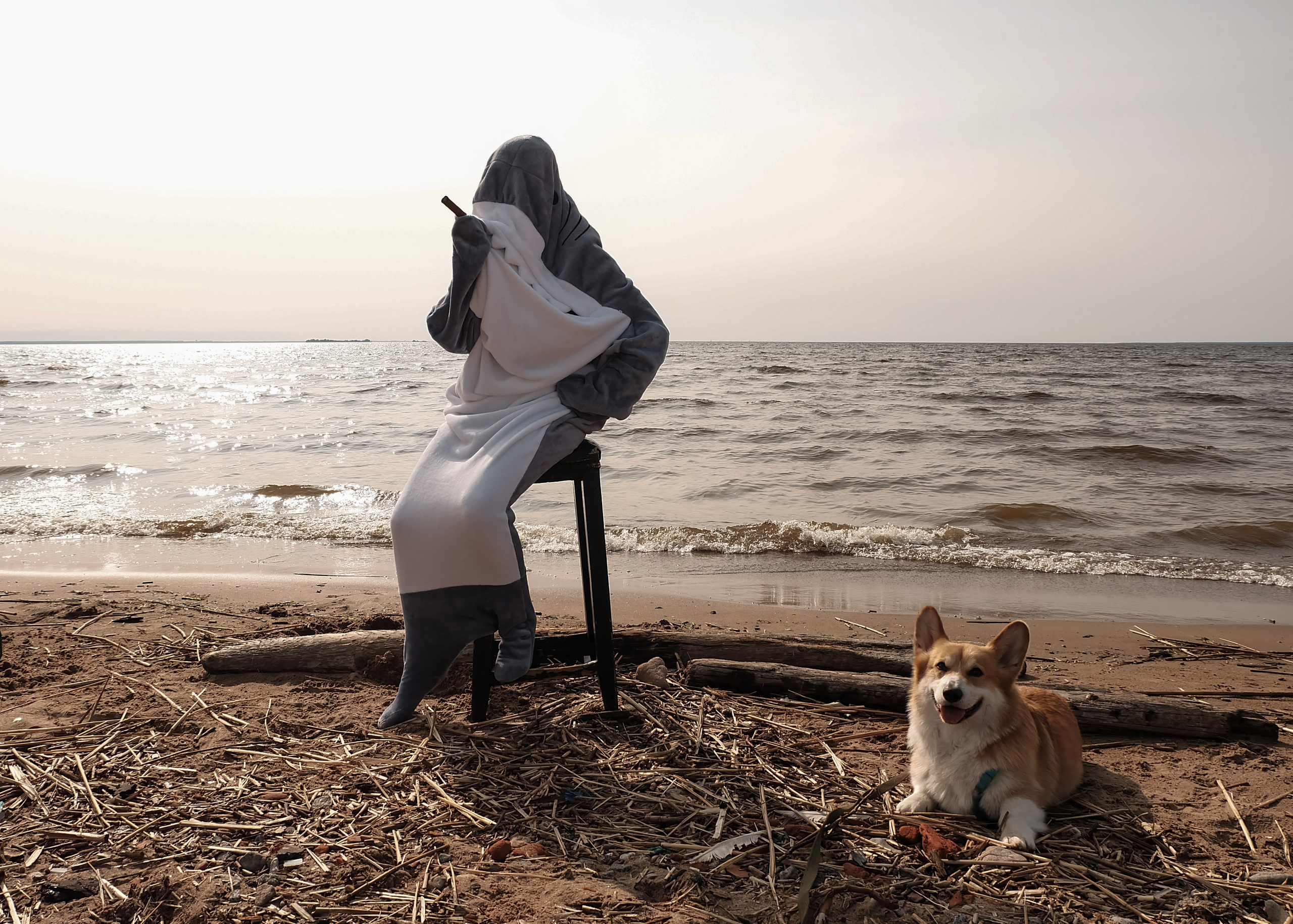 Shark and Hum. Портретный фотограф DanilNabody