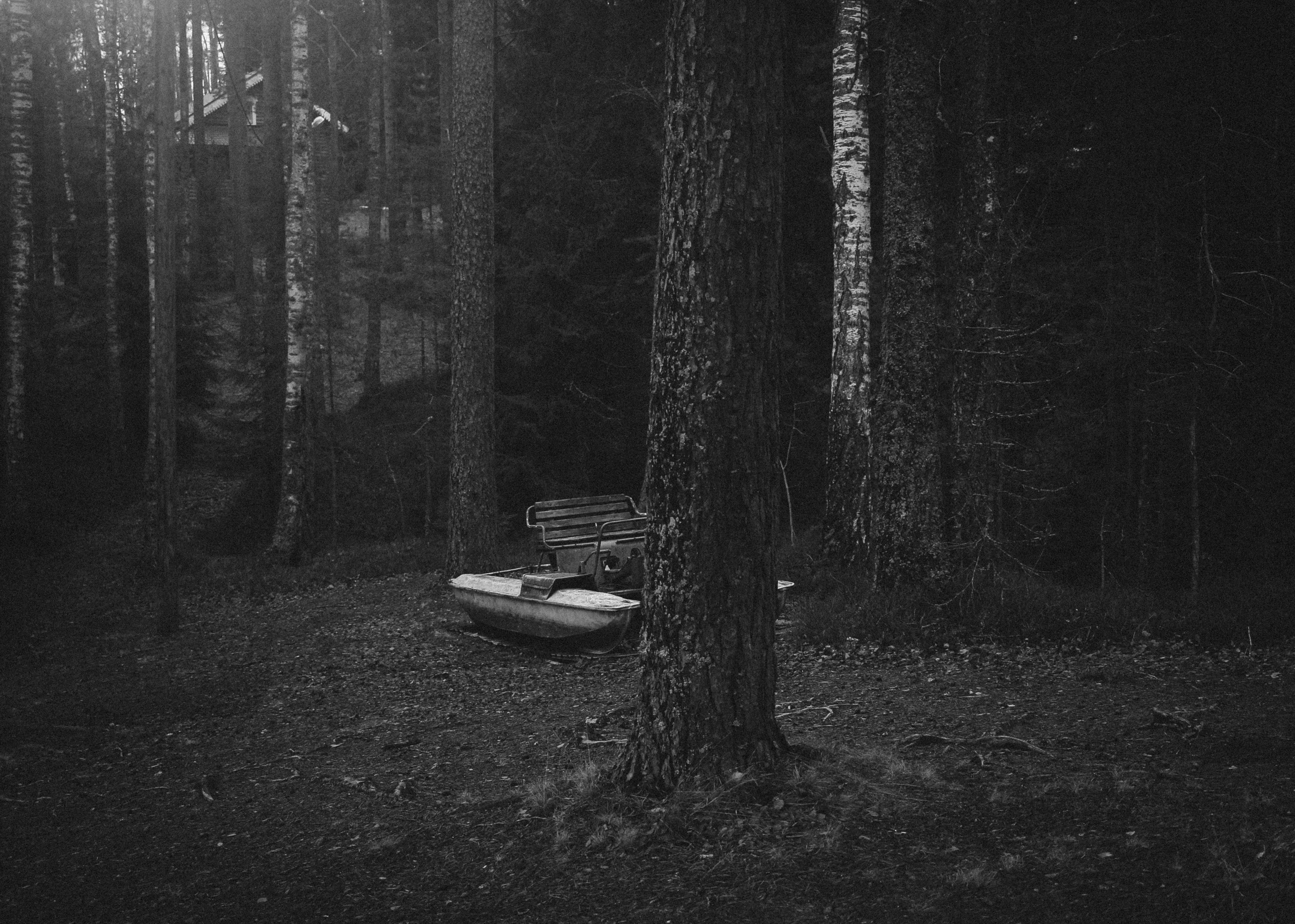 Лес и абстрактность. Портретный фотограф DanilNabody