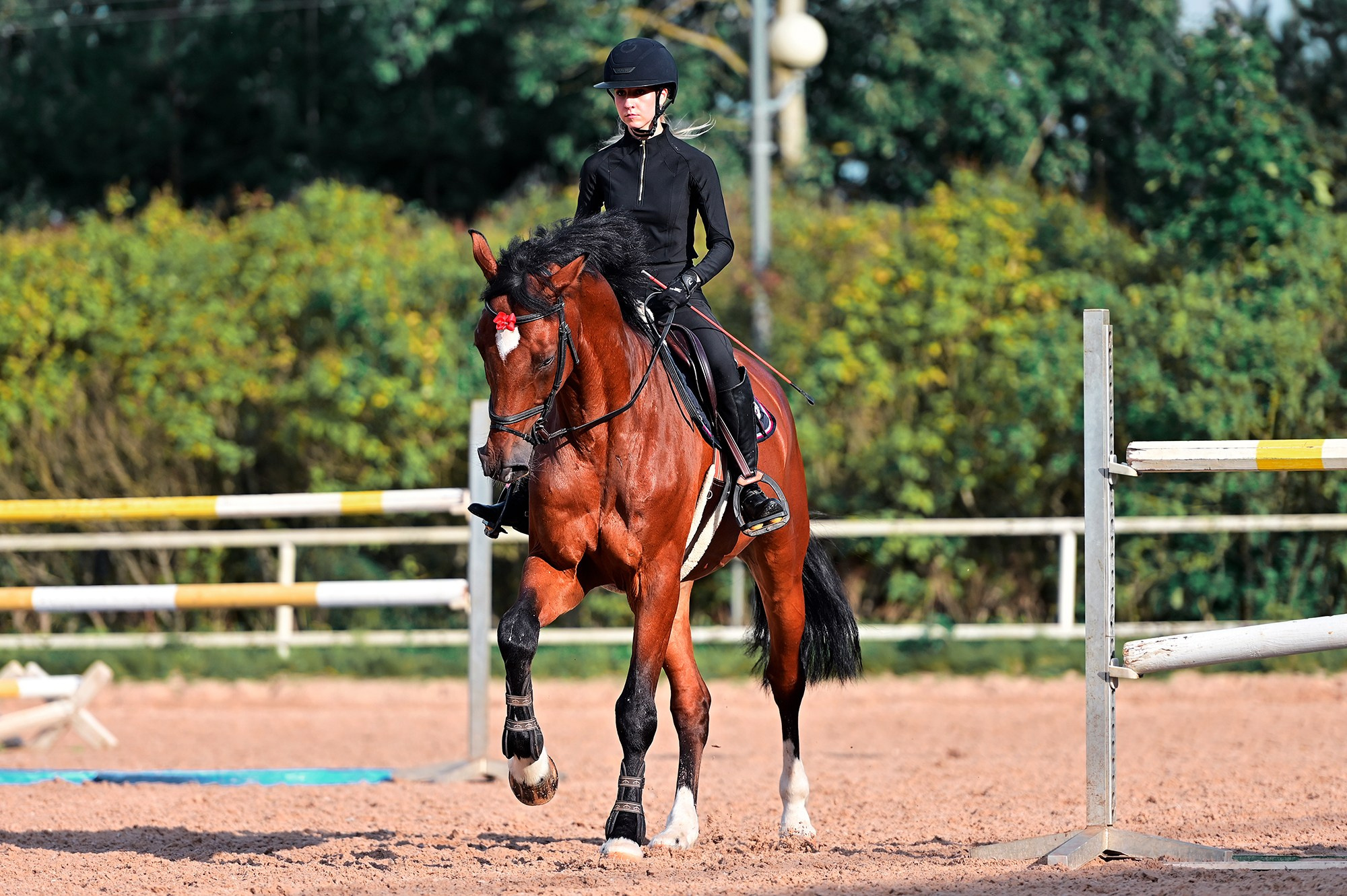 Тренировки. Конный фотограф Alesya Safe