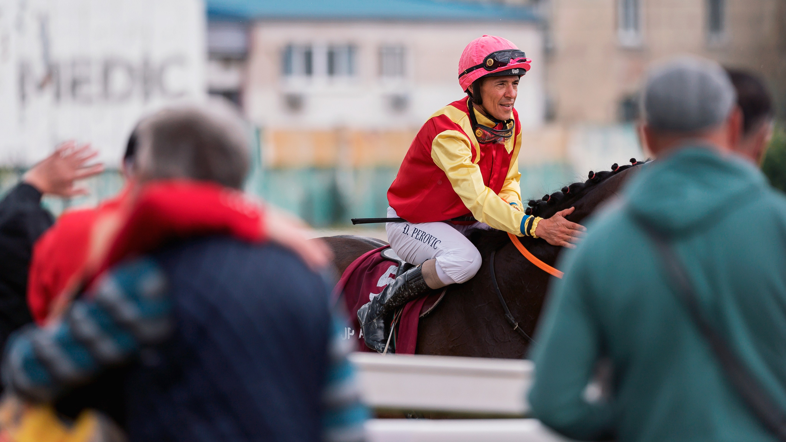 Конный фотограф Alesya Safe