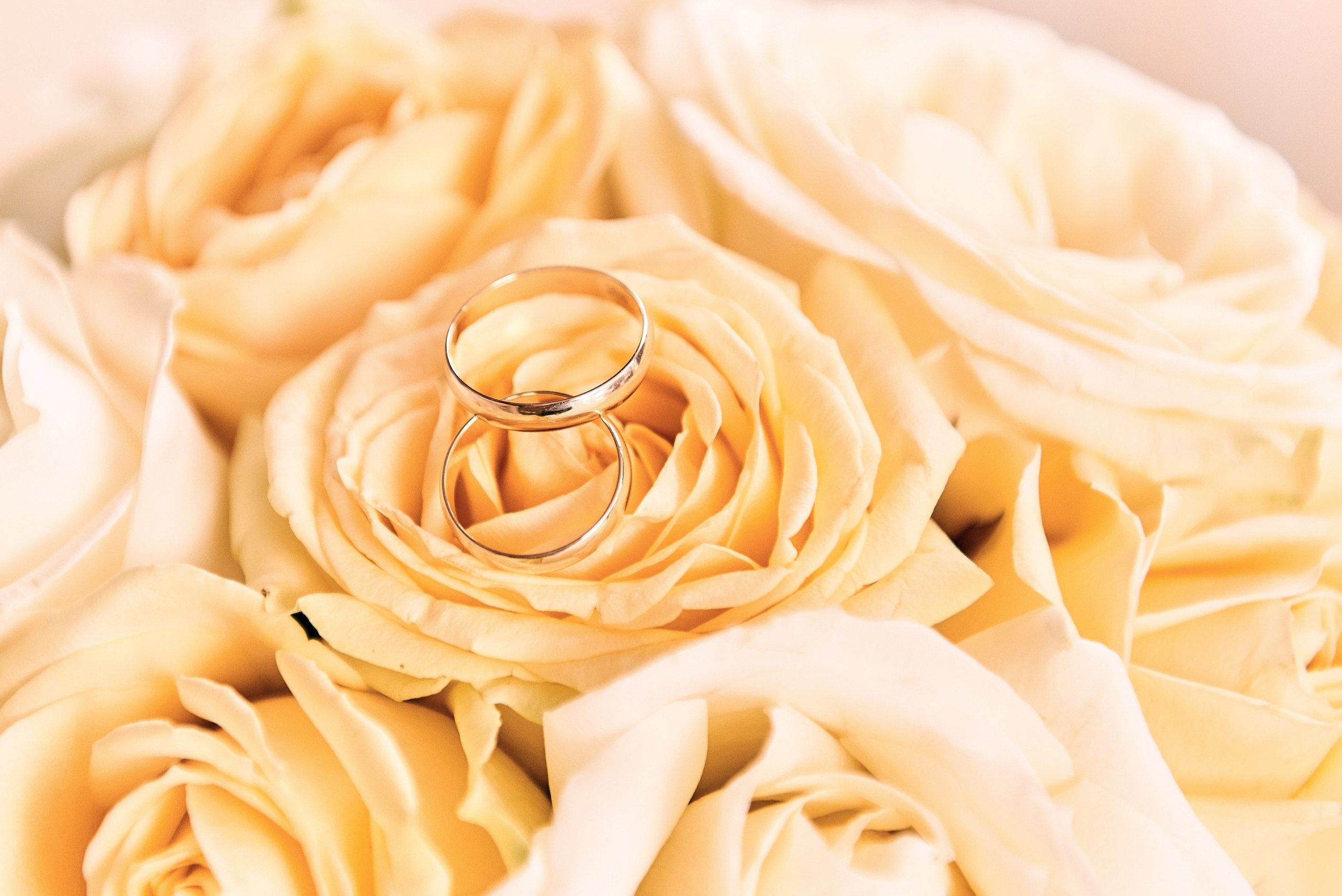 М & Ю. Семейный и детский фотограф в г. Ногинске Ангелина Хасанова