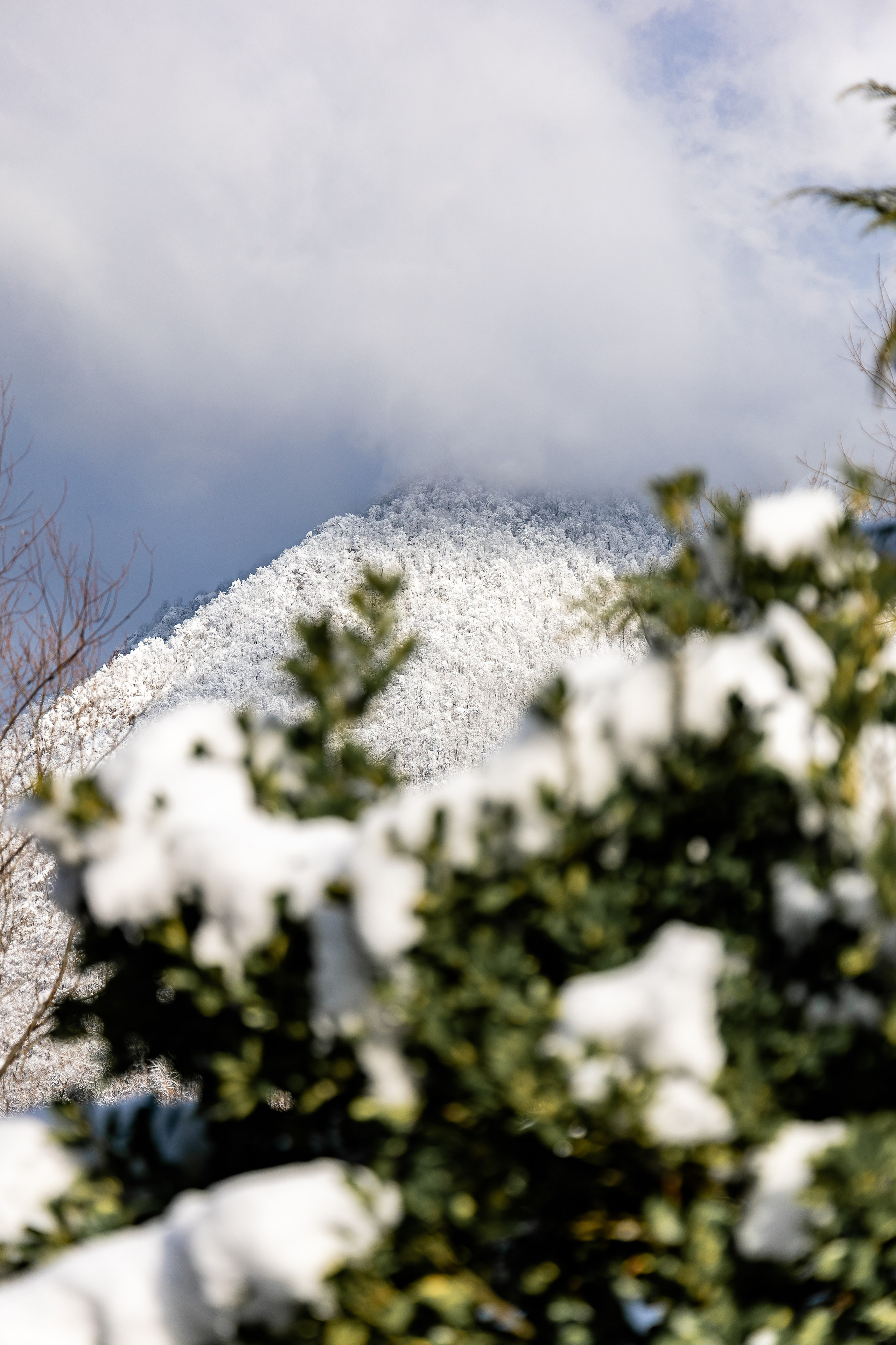 АРХИТЕКТУРА / ОКРУЖАЮЩАЯ СРЕДА. Фотосъёмка Сочи, Адлер, Красная Поляна