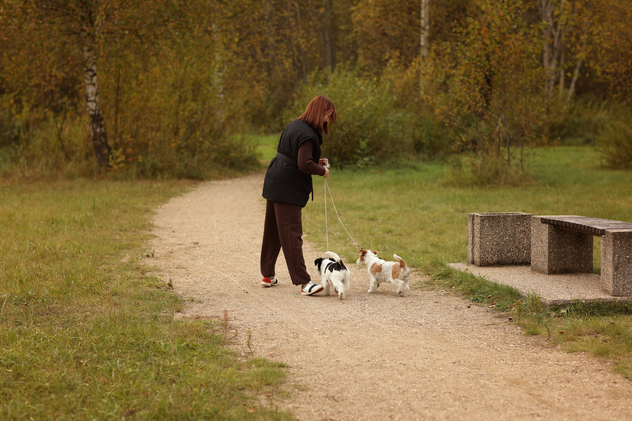 Аня, Броша и Марс. Фотограф — Анималист Наталья Тямушева