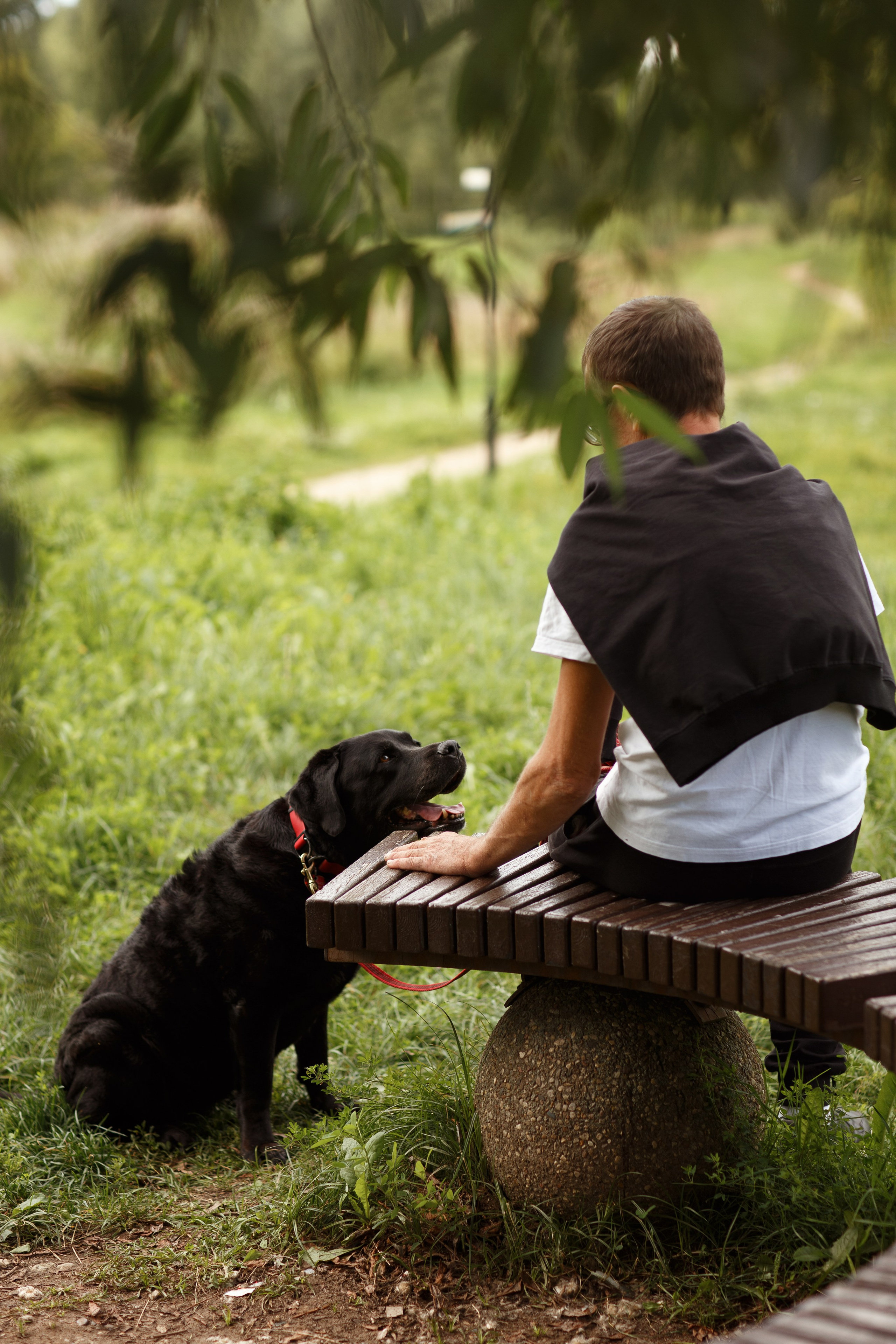 Александр и Мона. Фотограф — Анималист Наталья Тямушева