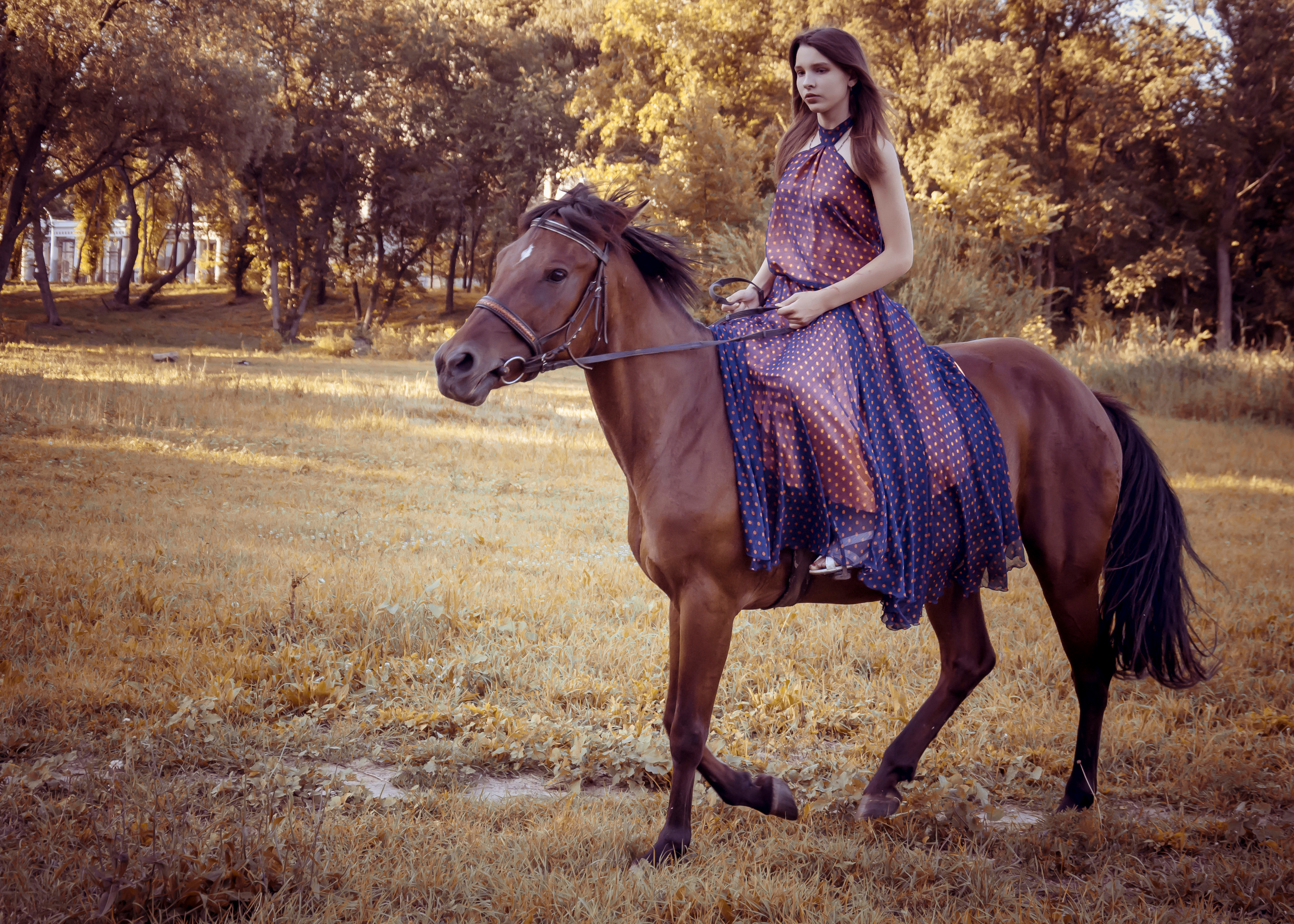 Лошадь, конь, конная, девушка, прогулка, фотосессия, конная фотосессия. Фотограф в РФ и ЛНР Юлия Федосеева