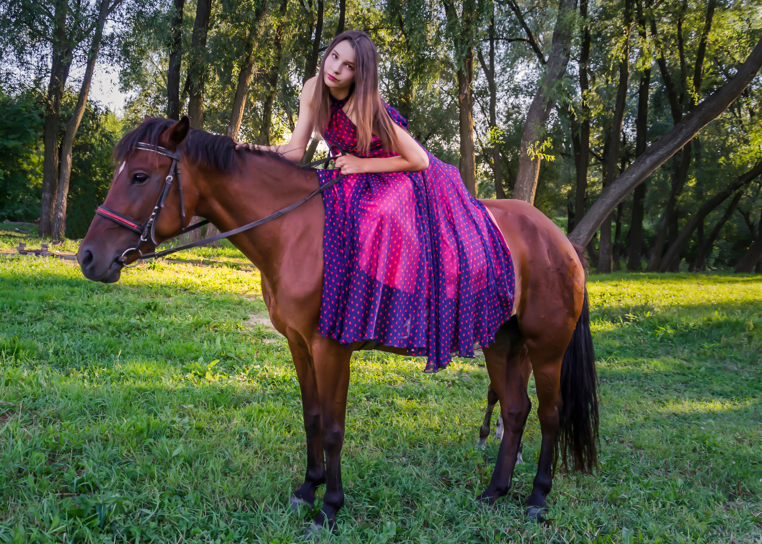 Лошадь, конь, конная, девушка, прогулка, фотосессия, конная фотосессия. Фотограф в РФ и ЛНР Юлия Федосеева