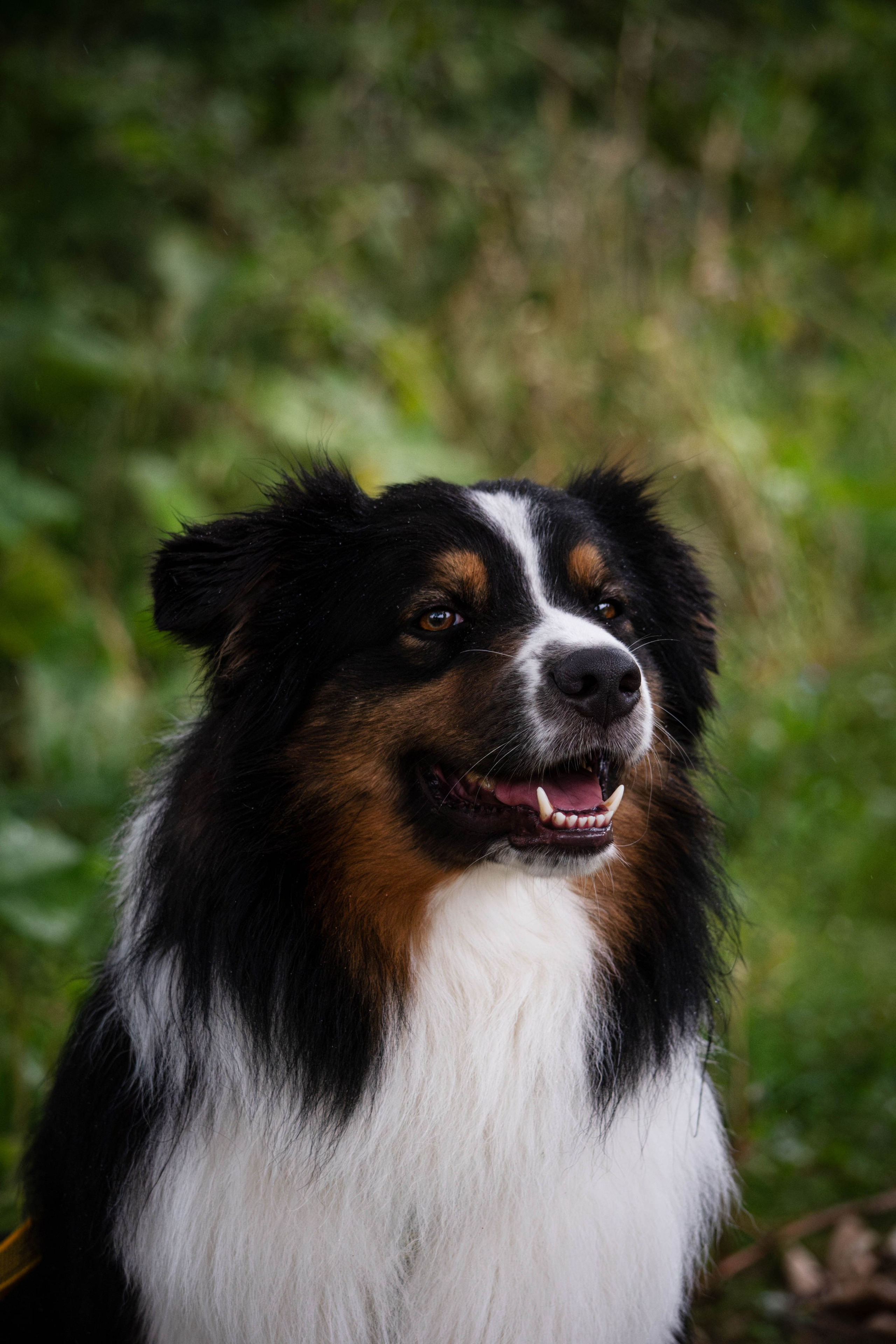 Прогулка в парке Митино. Фотограф Светлана Блинова, Москва и Московская область