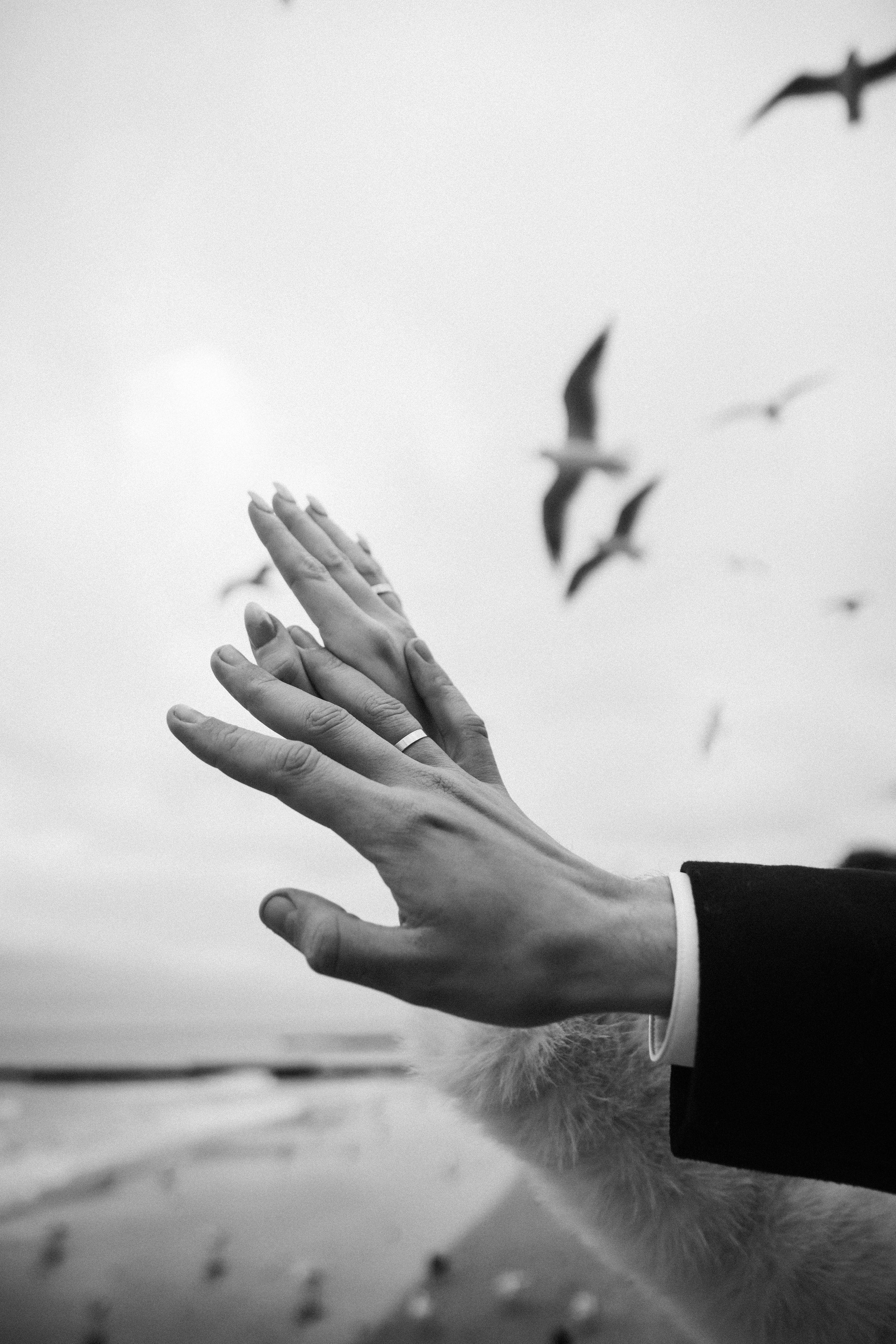 Свадьба в канун Нового года. Фотограф Зеленоградск Красильникова Елена