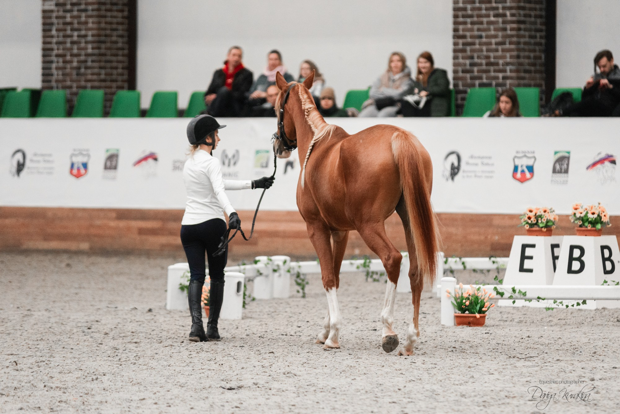 8-я международная выставка Конная Россия. Конный фотограф Куракина Дарья • Фотосессии с лошадьми