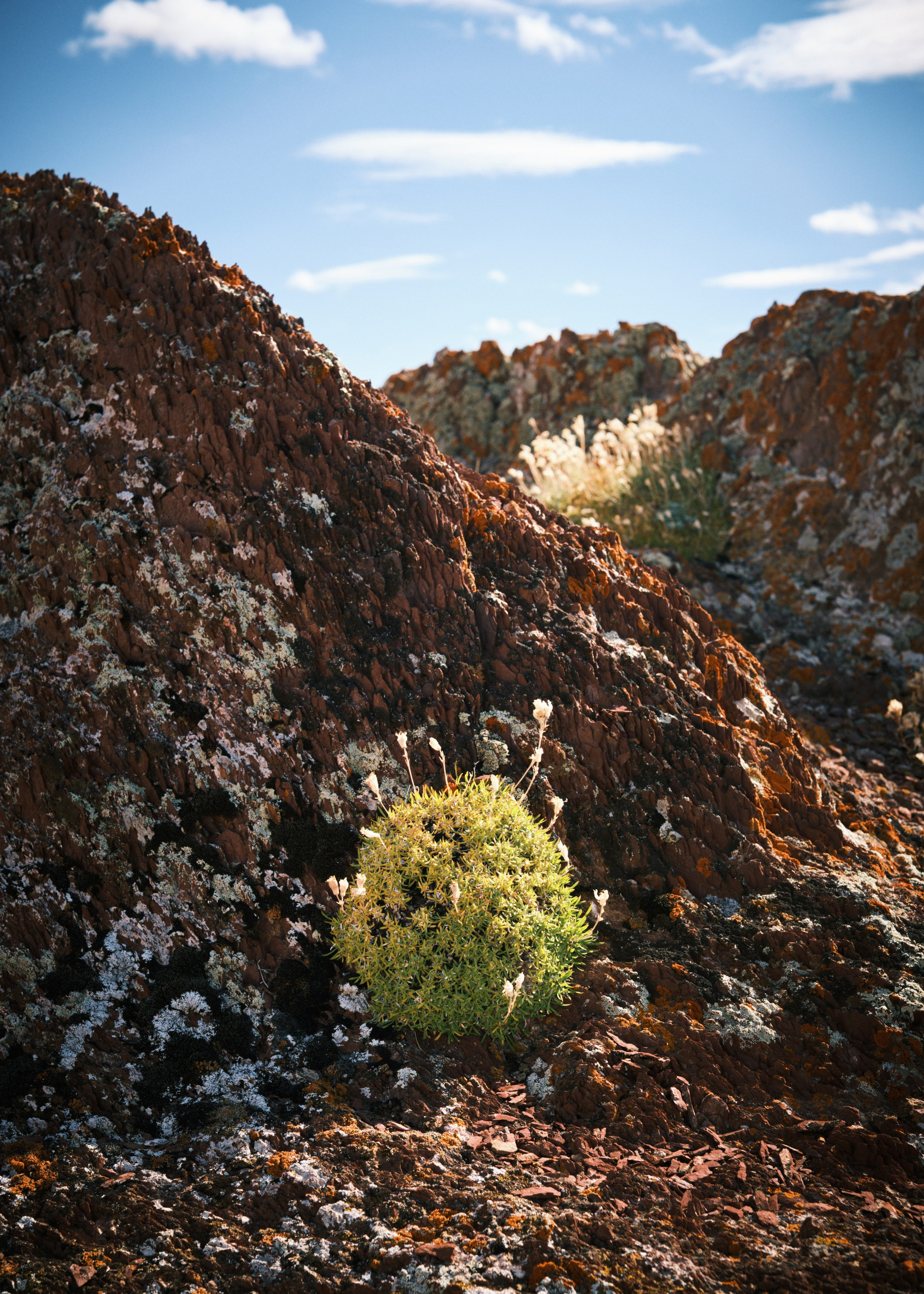 Природа. Антон Ив