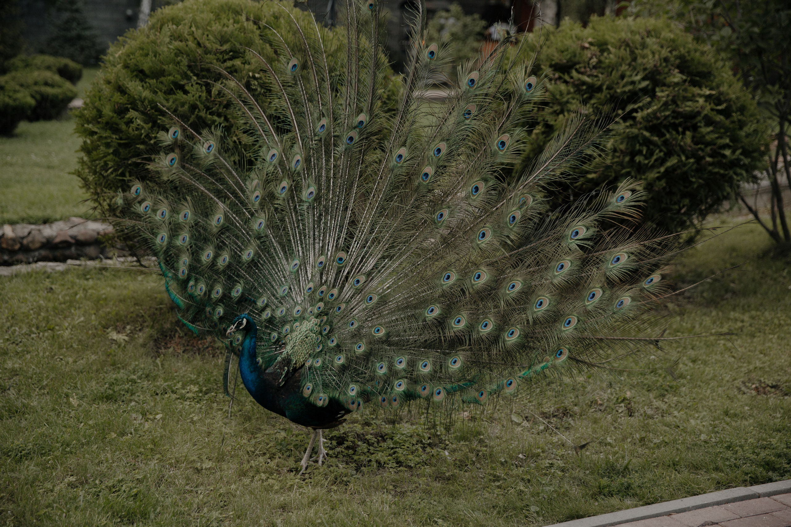 04.08.2024. RETOUCH-HOUSE