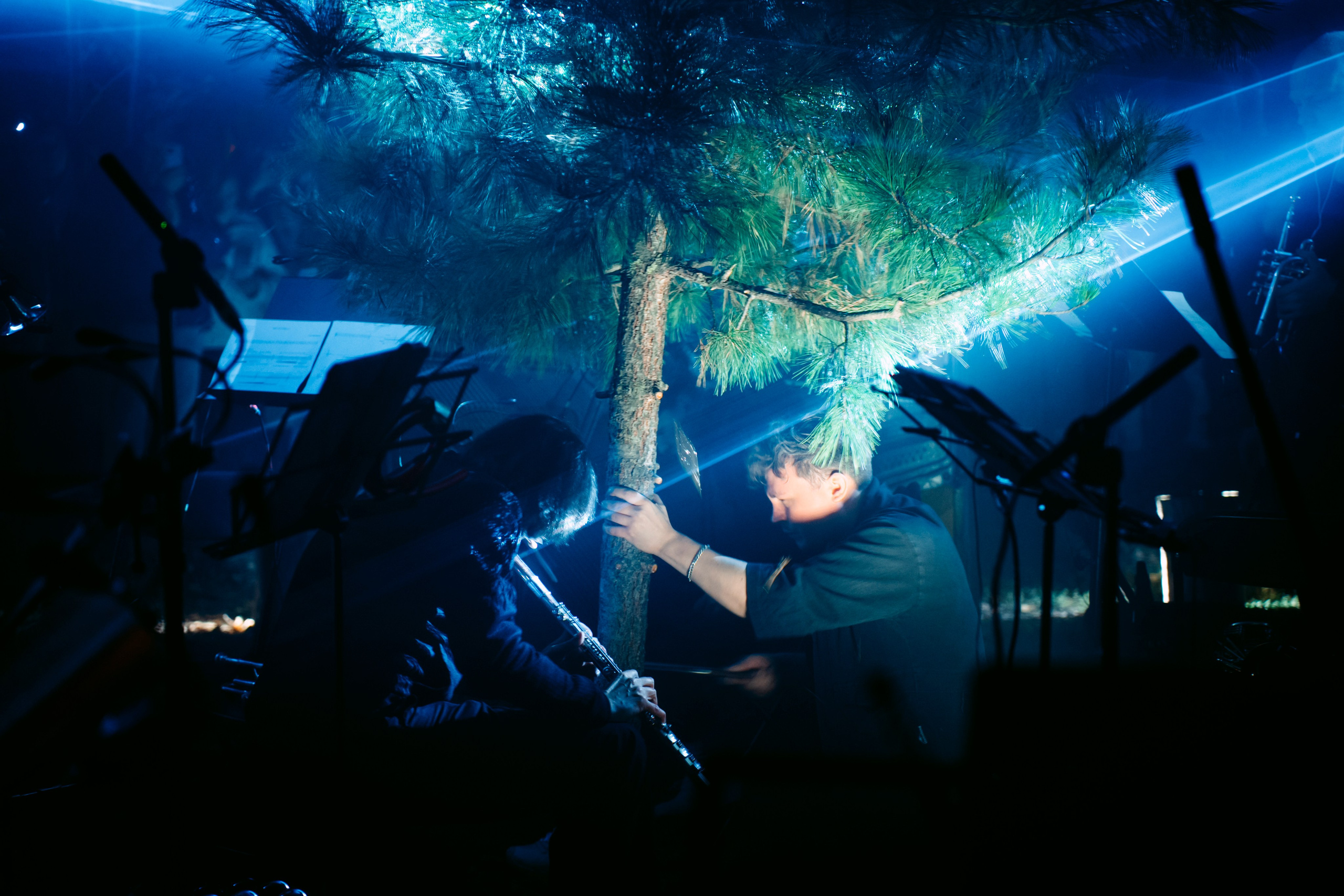 Synesthesia|Черное озеро. Главная