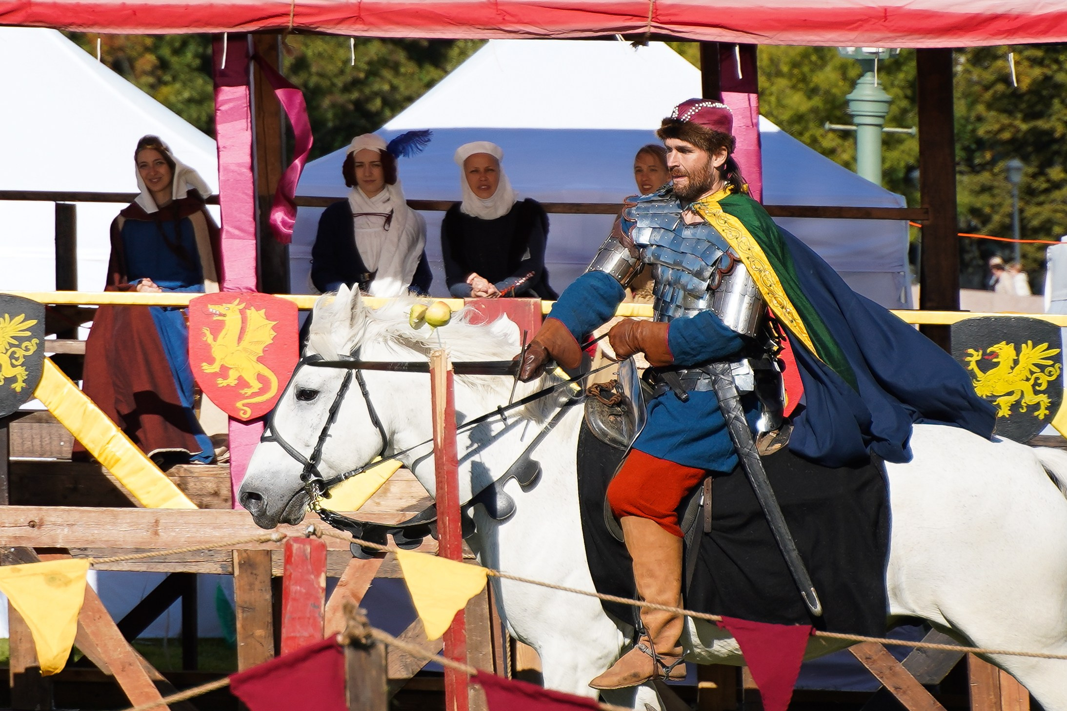 Рыцарский турнир в рамках фестиваля «Битва на Неве» Санкт-Петербург 2024 г. Фотограф-анималист, портретный фотограф в Чебоксарах Мария Садыкова