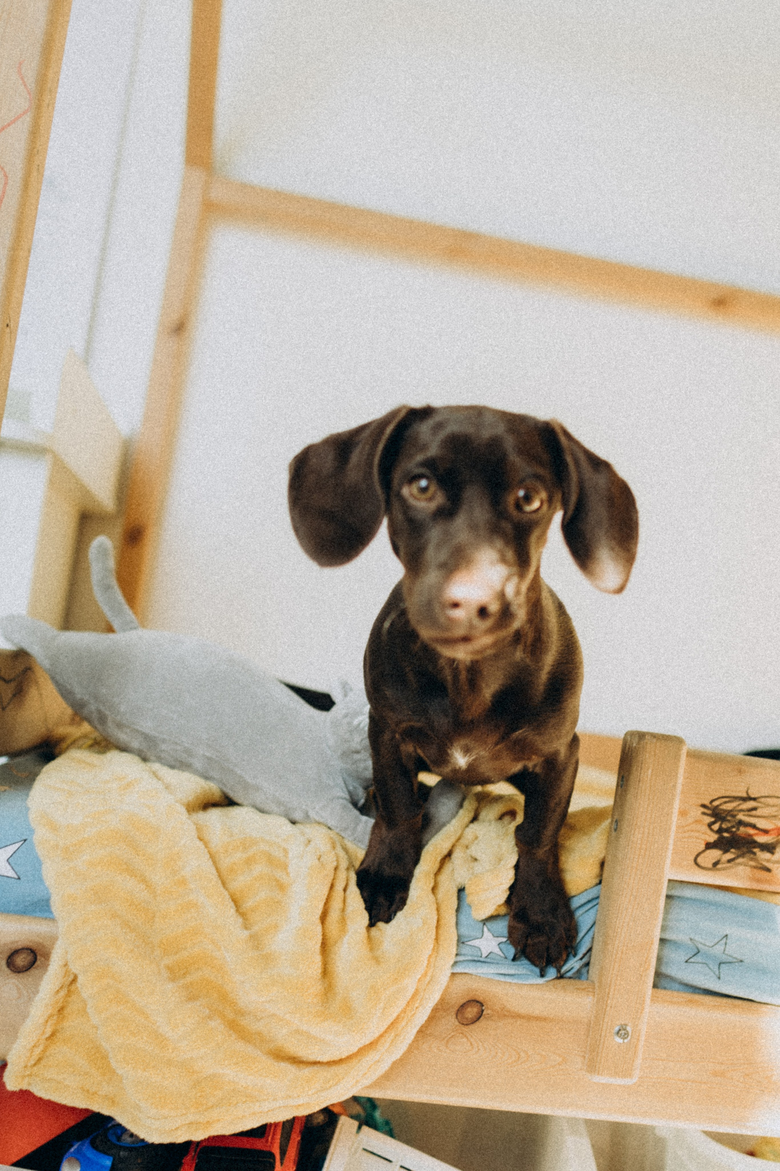 Кирюша 5 лет. Семейный фотограф в Краснодаре Анна Пасик