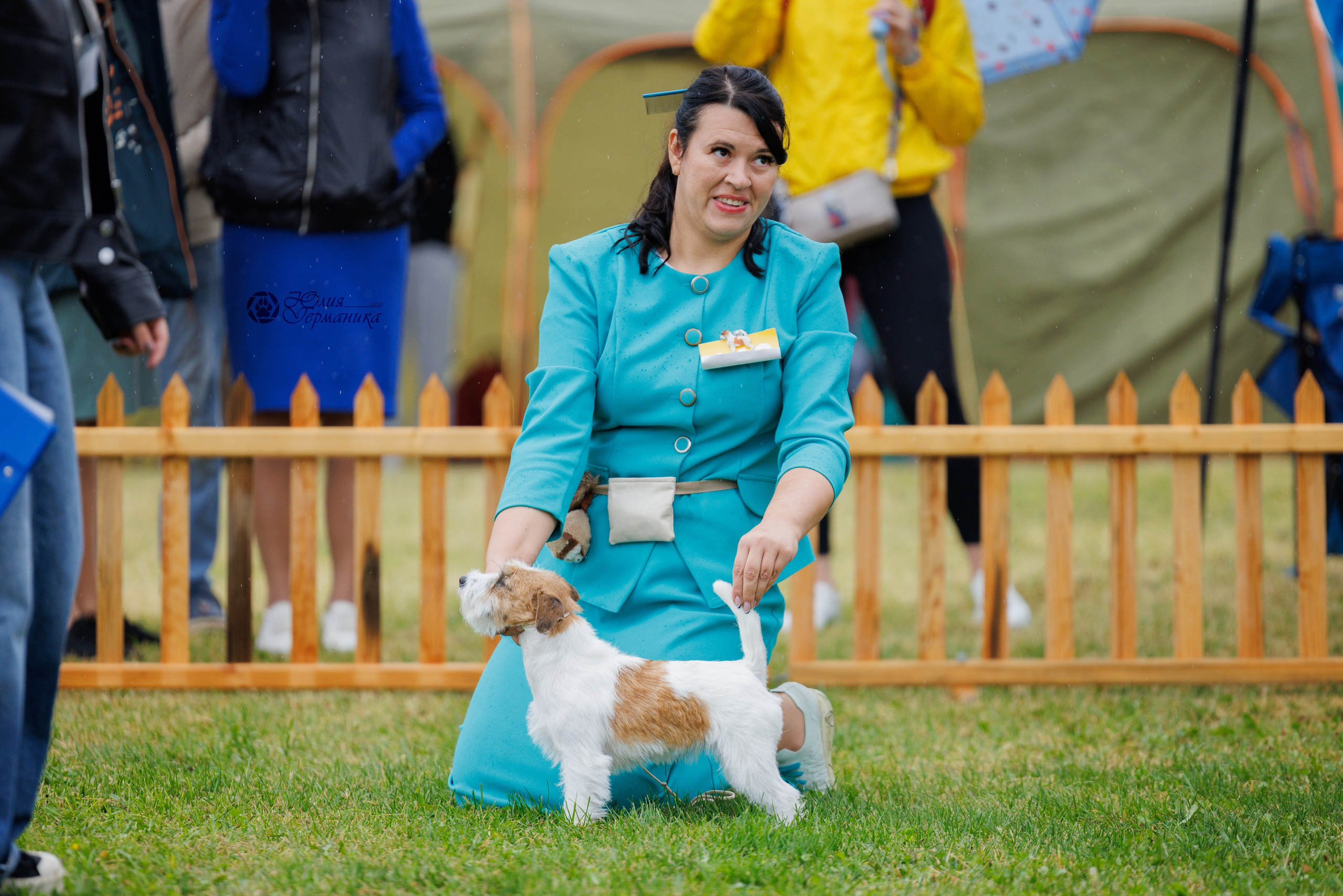 Армения,Ереван 3хCACIB 15-17.10.2024. Фотограф-анималист Юлия Германика