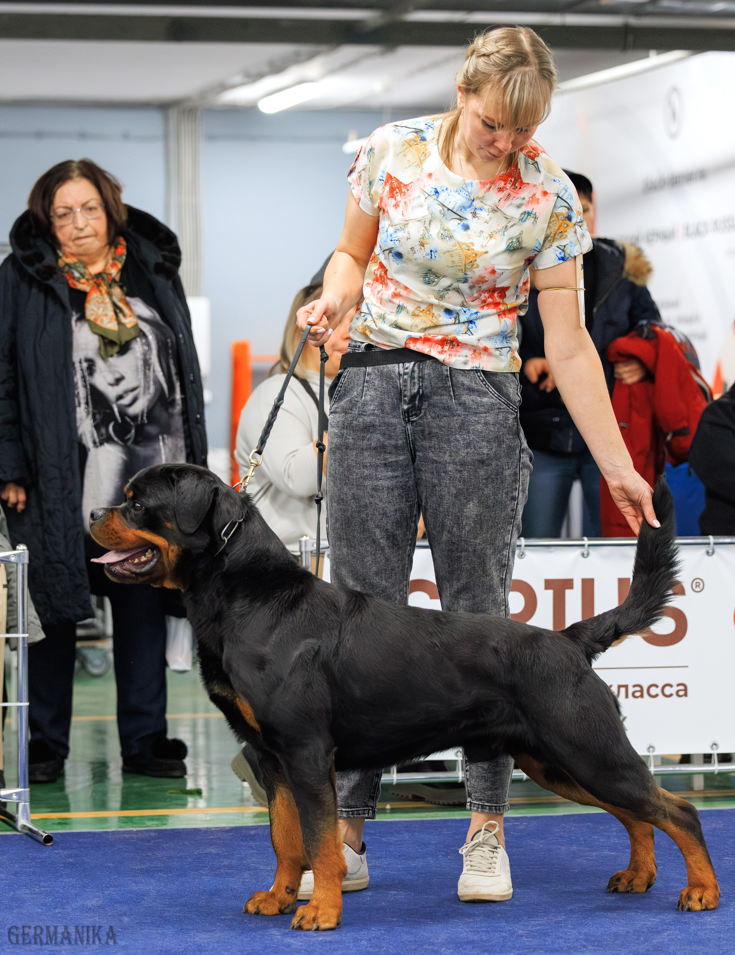 Сфера 08 и 10.03.2024 2хмоно ротвейлеров+2хмоно сао. Фотограф-анималист Юлия Германика