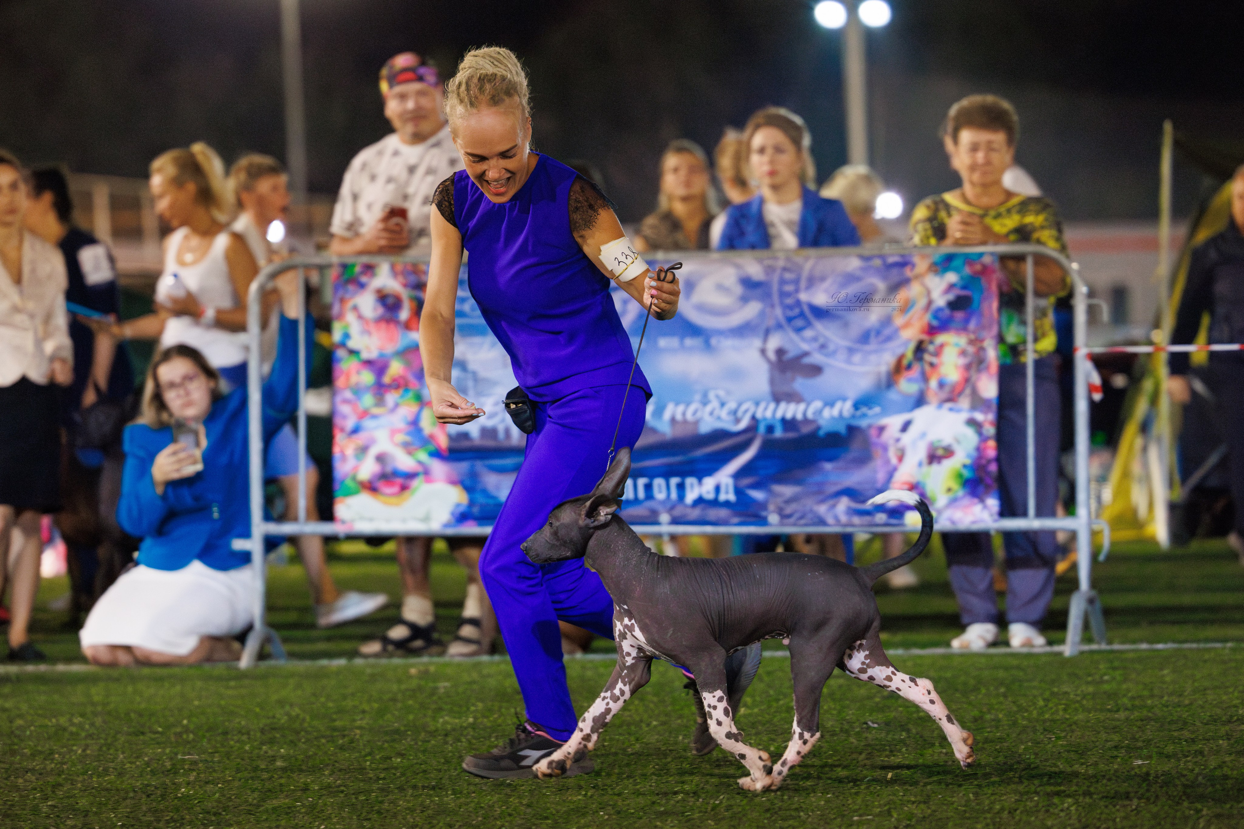 Волгоград 2-4.08.2024. Фотограф-анималист Юлия Германика