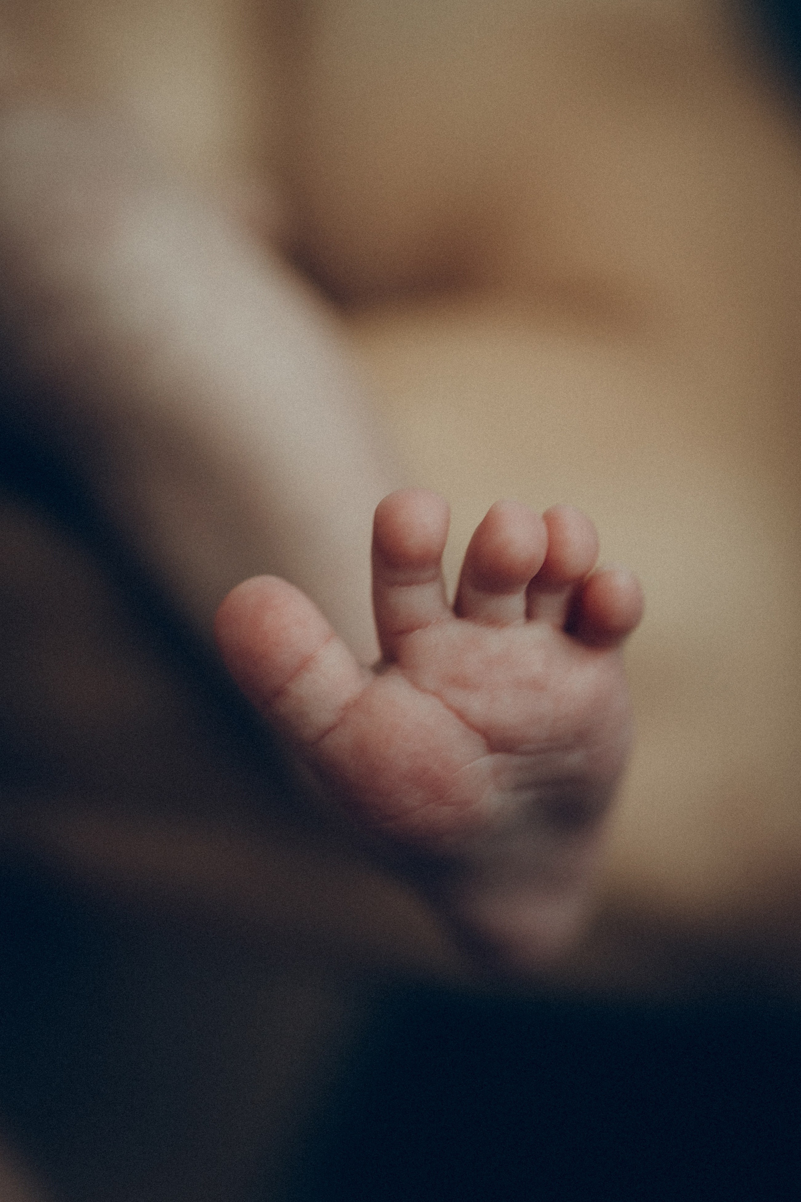 Рита, Коля и Василиса. Семейный фотограф и фотограф на роды в Ростове-на-Дону Мухина Виктория