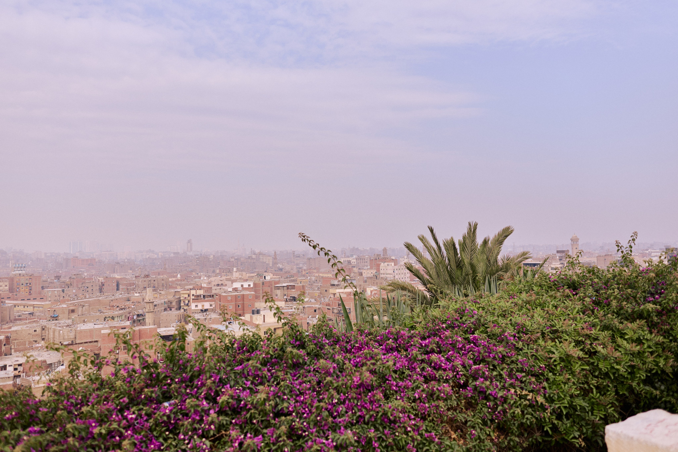 Другое 4. Jorgis — фотограф в Хургаде / обучение фотографии