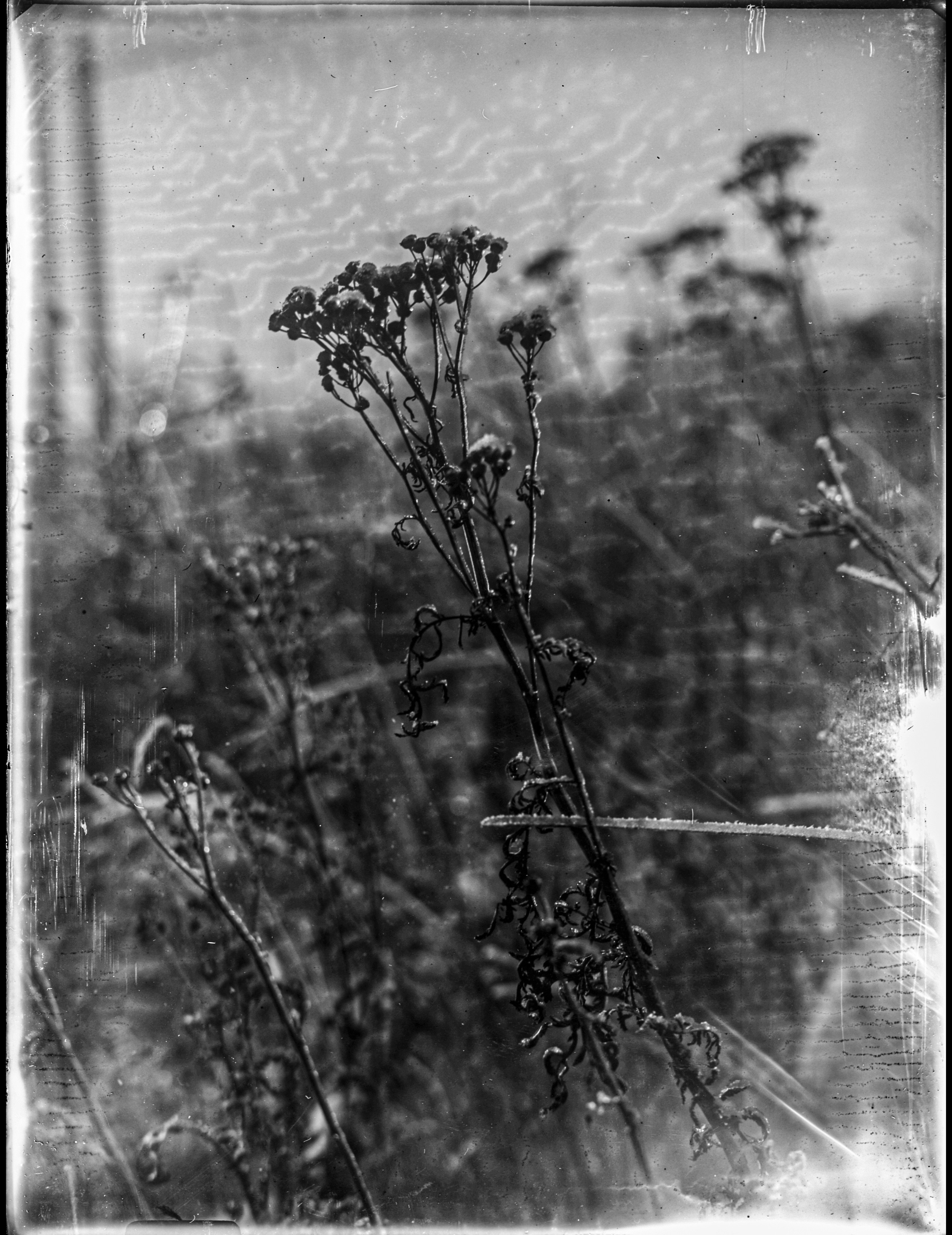 Glass plates. Darkroom aesthetics