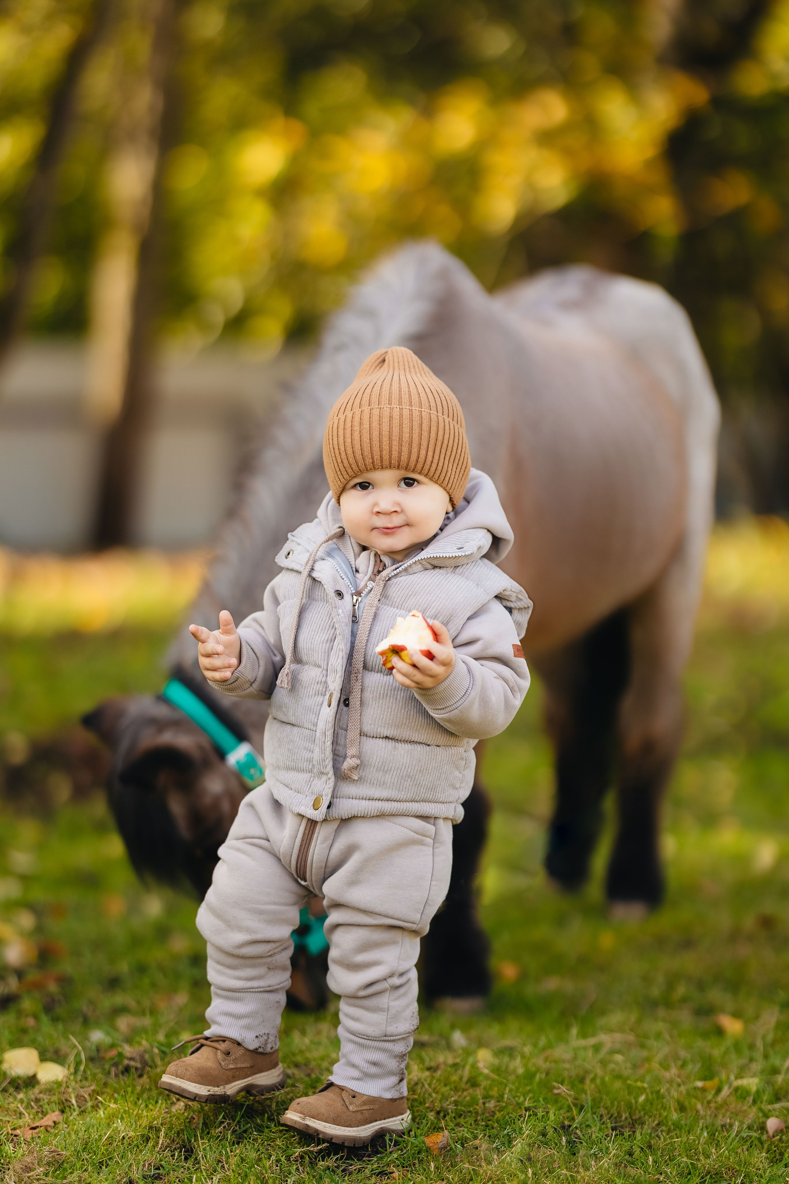 2024.10.02 Илья и лошадка. Ирина Бешляга. Фотограф в Москве и по всей России