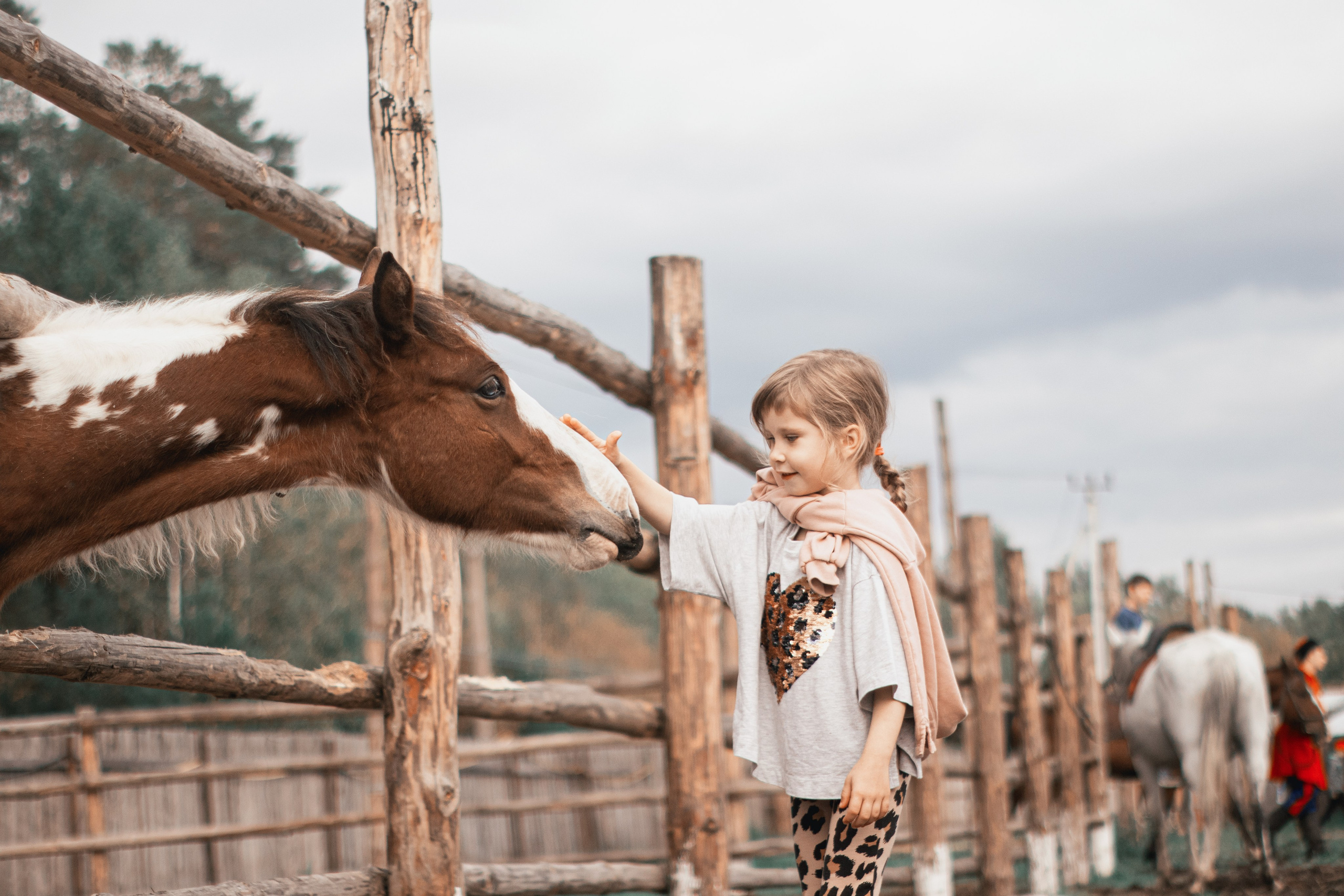 Фестиваль казачьей культуры на «Хутор Кречет». Фотограф в Тюмени Лизавета Сапицкая