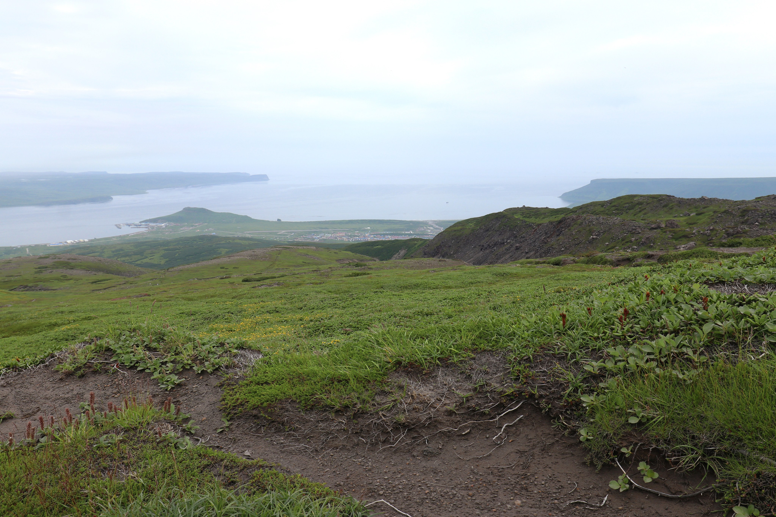 Камчатка и о. Парамушир. Июль 2024. Путешественник-фотограф из Санкт-Петербурга Татьяна Свистулина